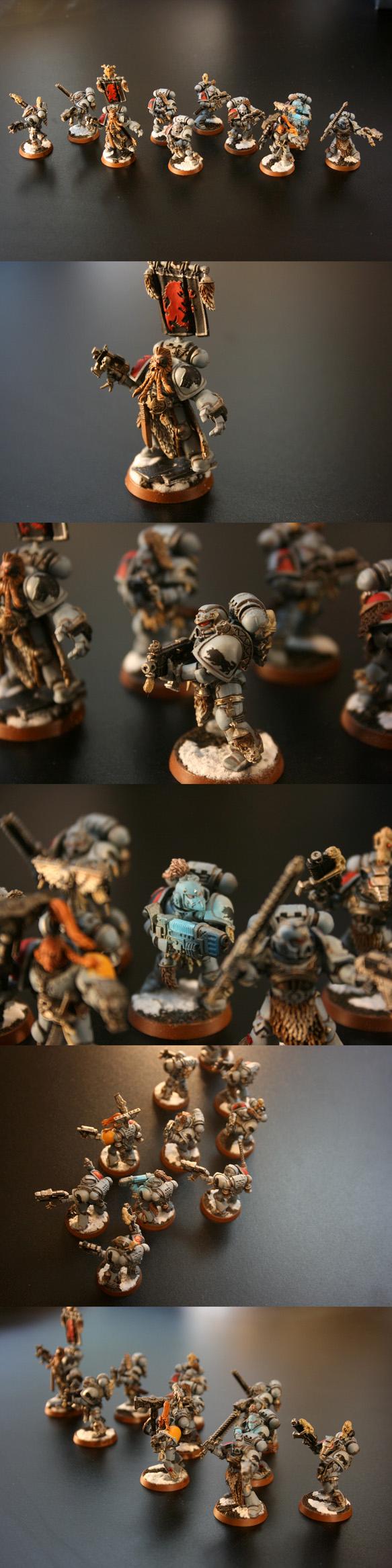 Grey Hunters, Space Wolves