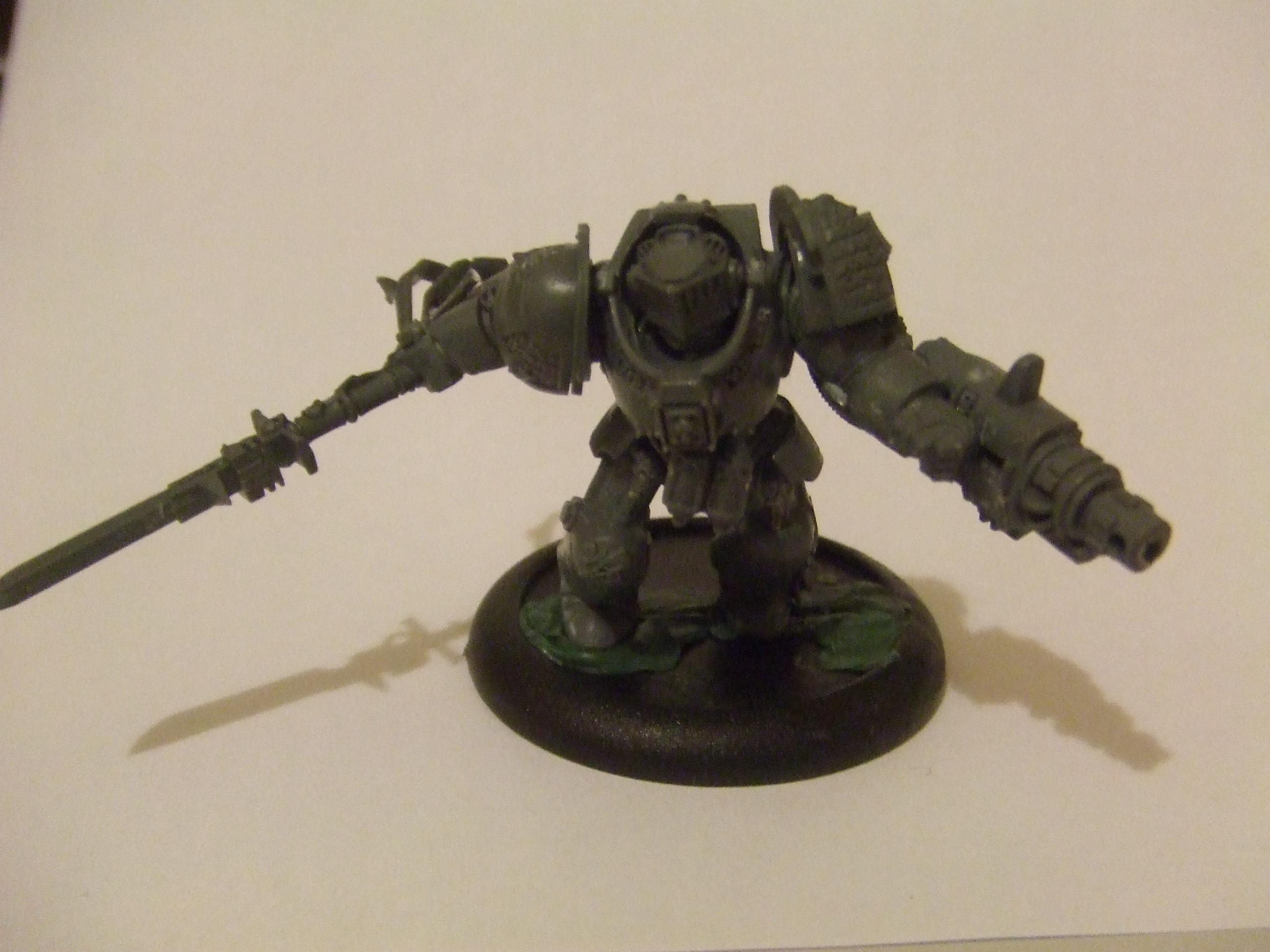 Paladin WIP