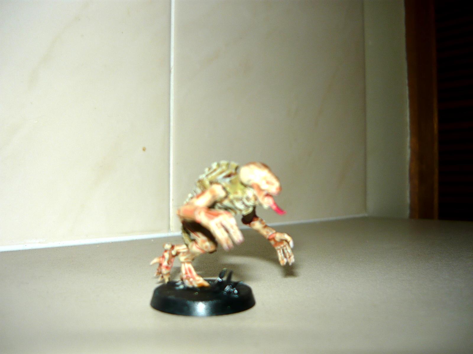 Genestealer, Ouroboros, Tyranids
