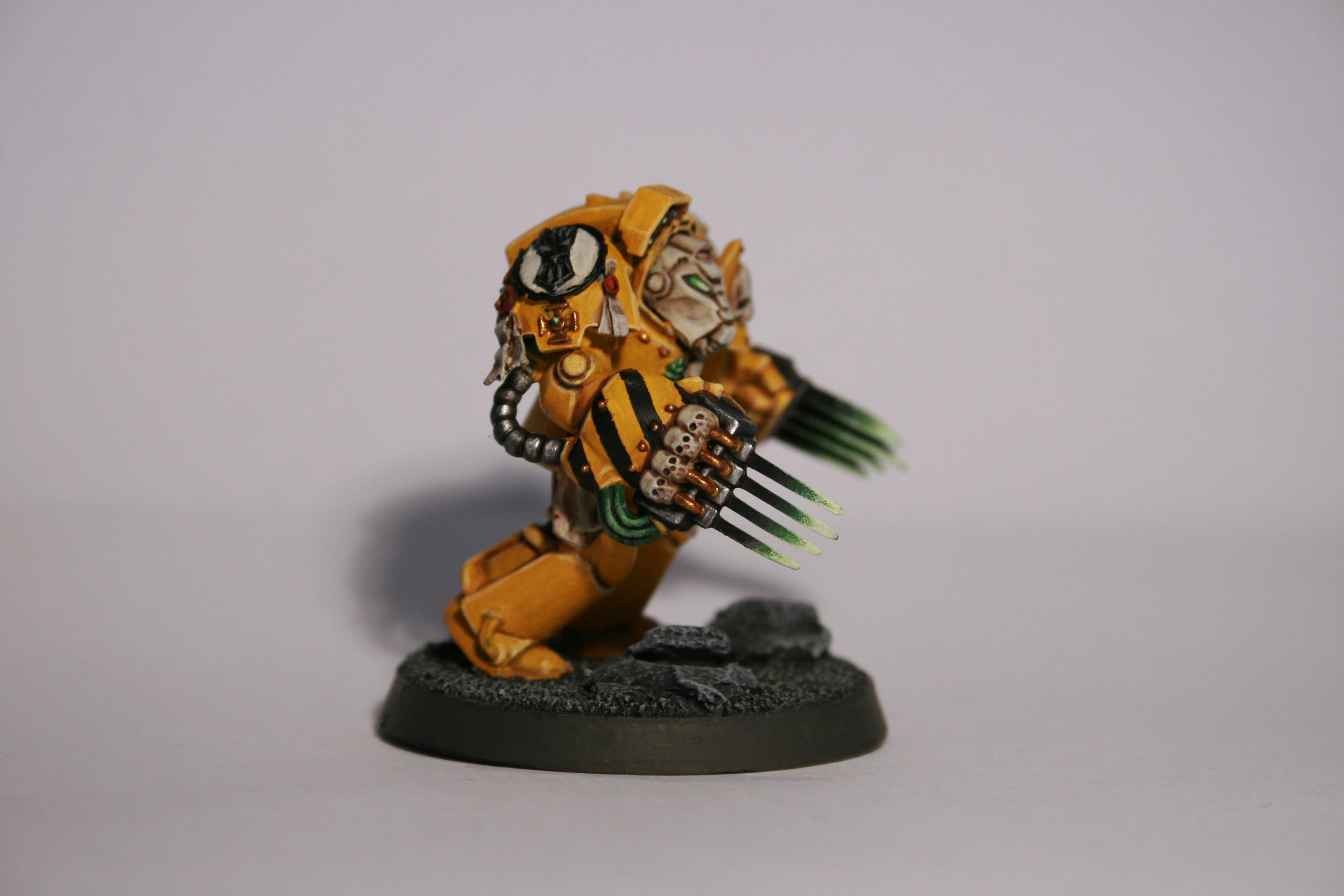 Imperial Fists, Lightning Claws, Terminator Armor