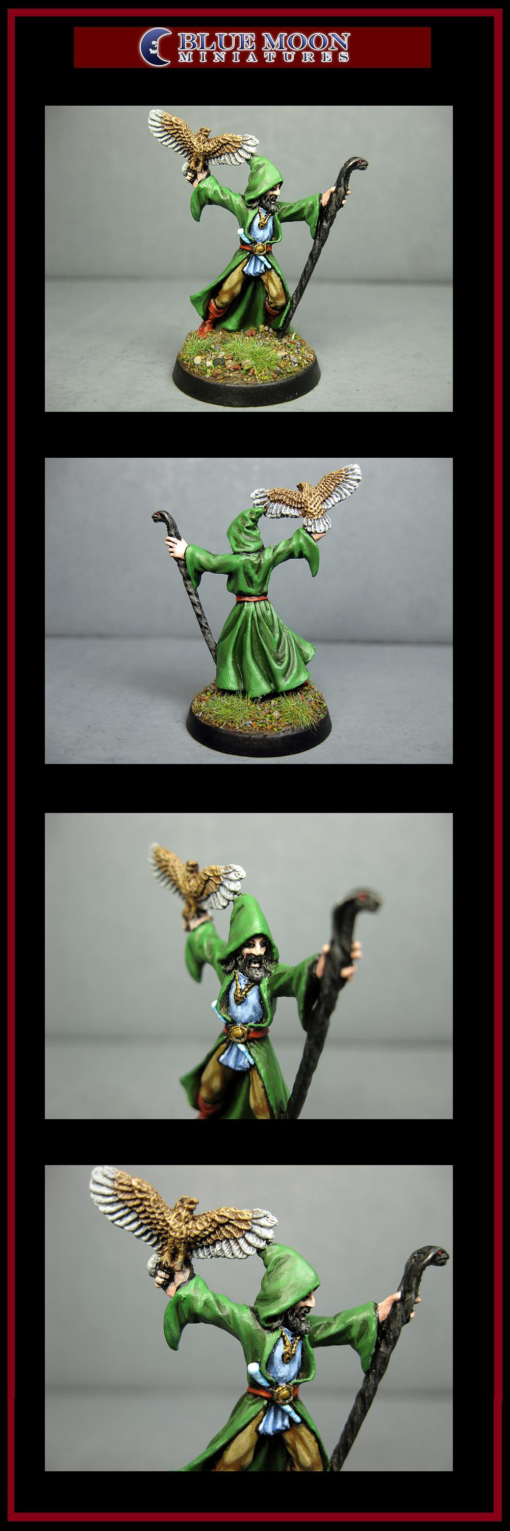 Pathfinders, Pro Painted, Reaper, Reaper Miniatures, Reaper Minis, Rpg, Warhammer Fantasy