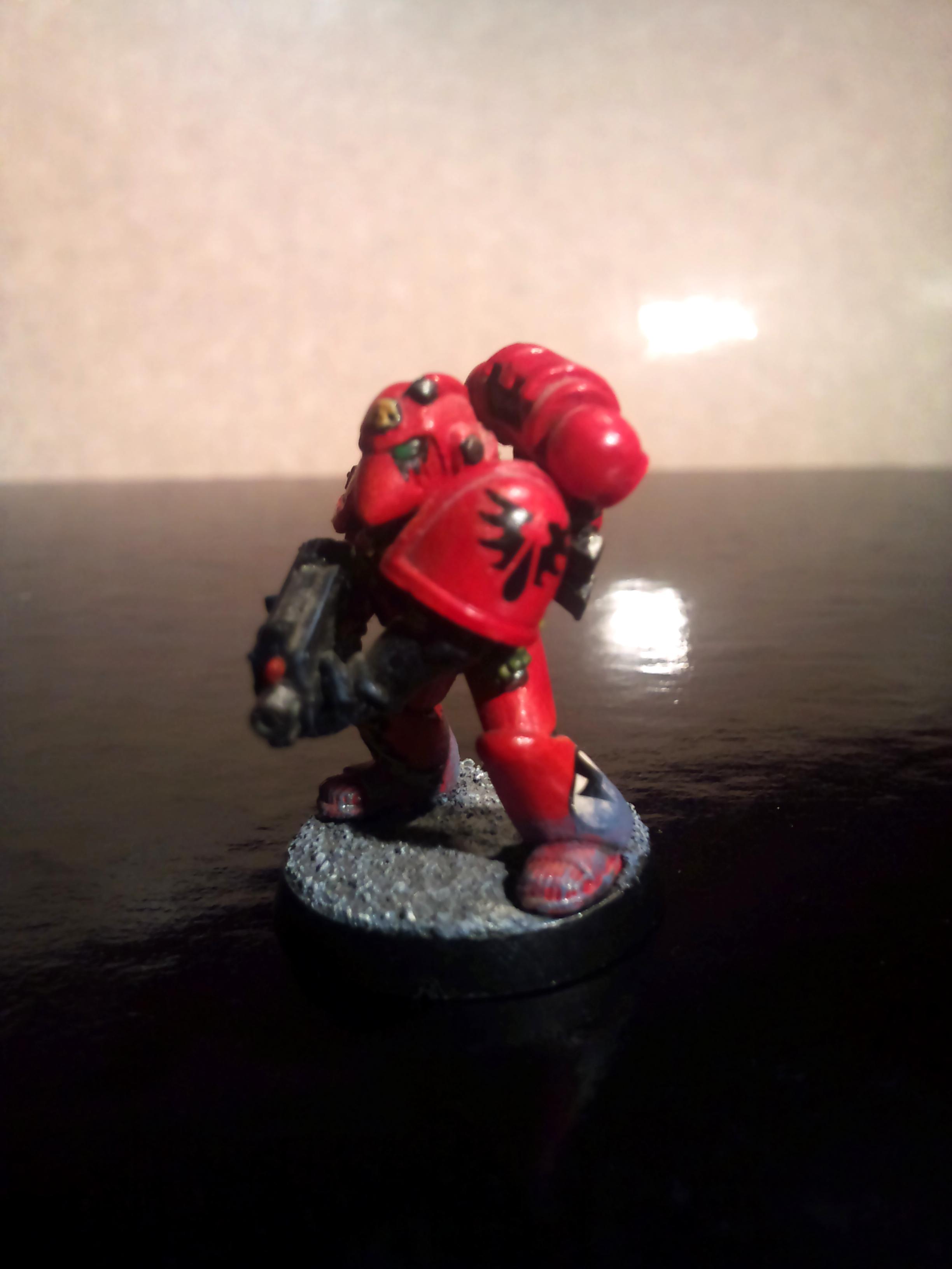 1st Co. Vet Marine