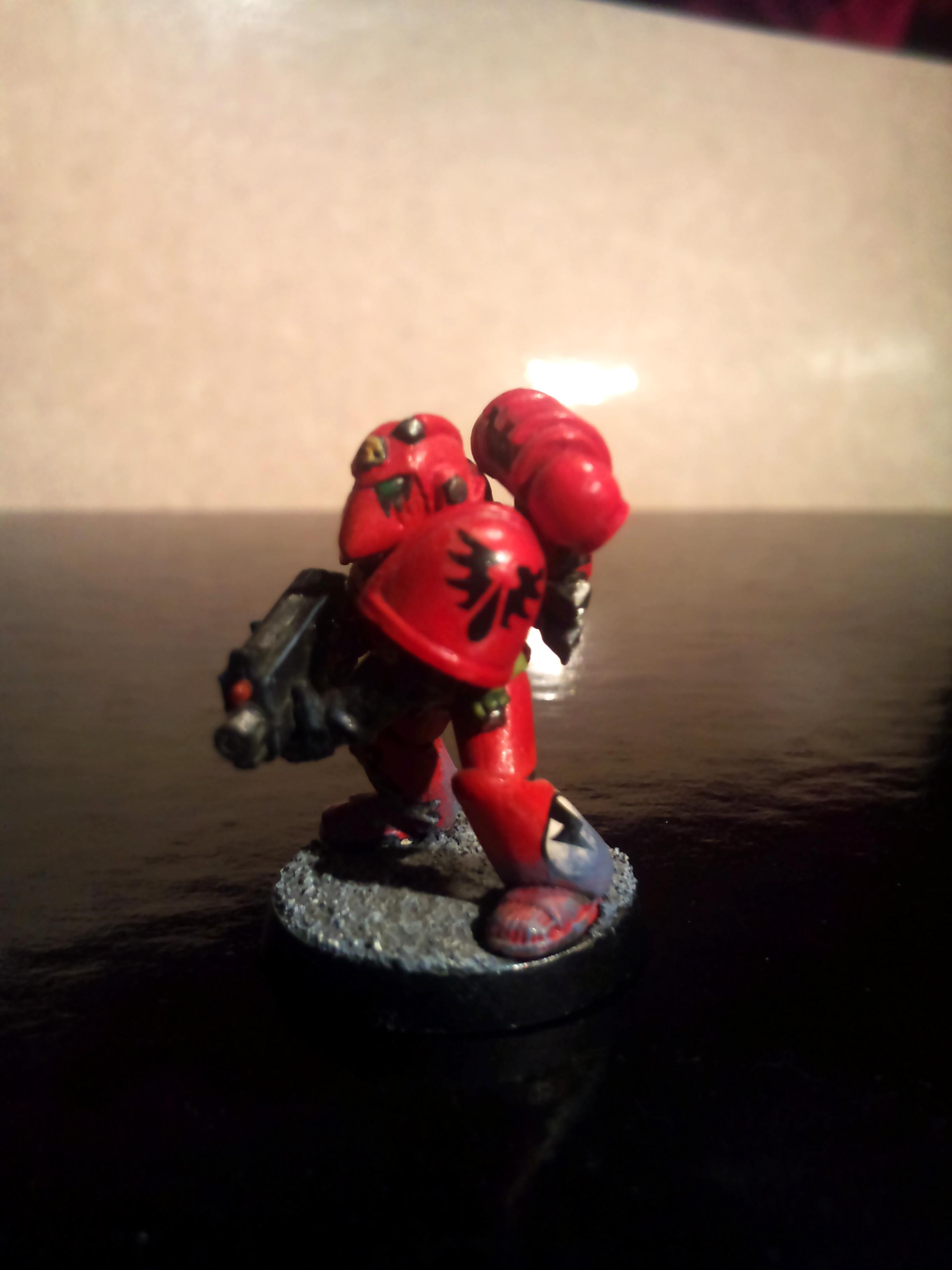 1st Co. Vet Marine