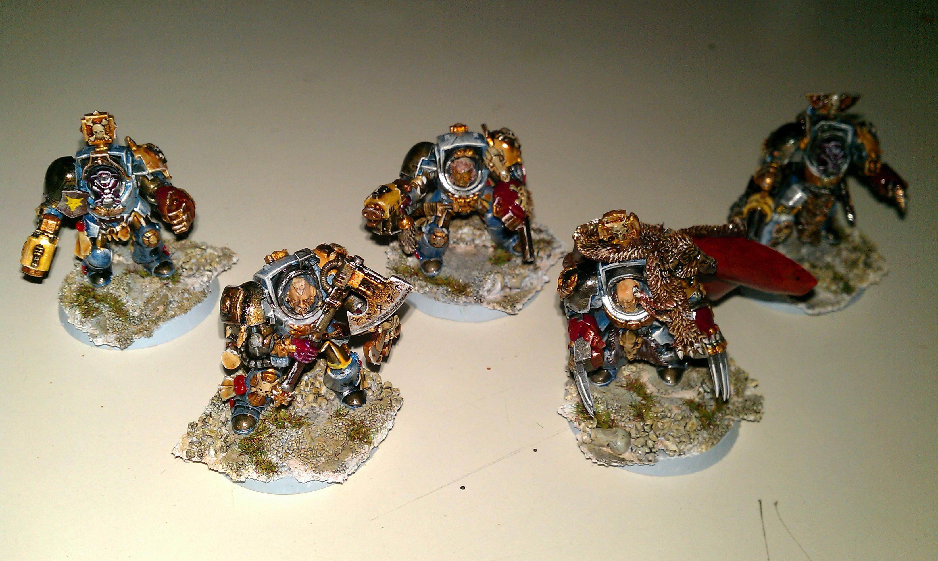 Space Wolves, Termi Pack 2