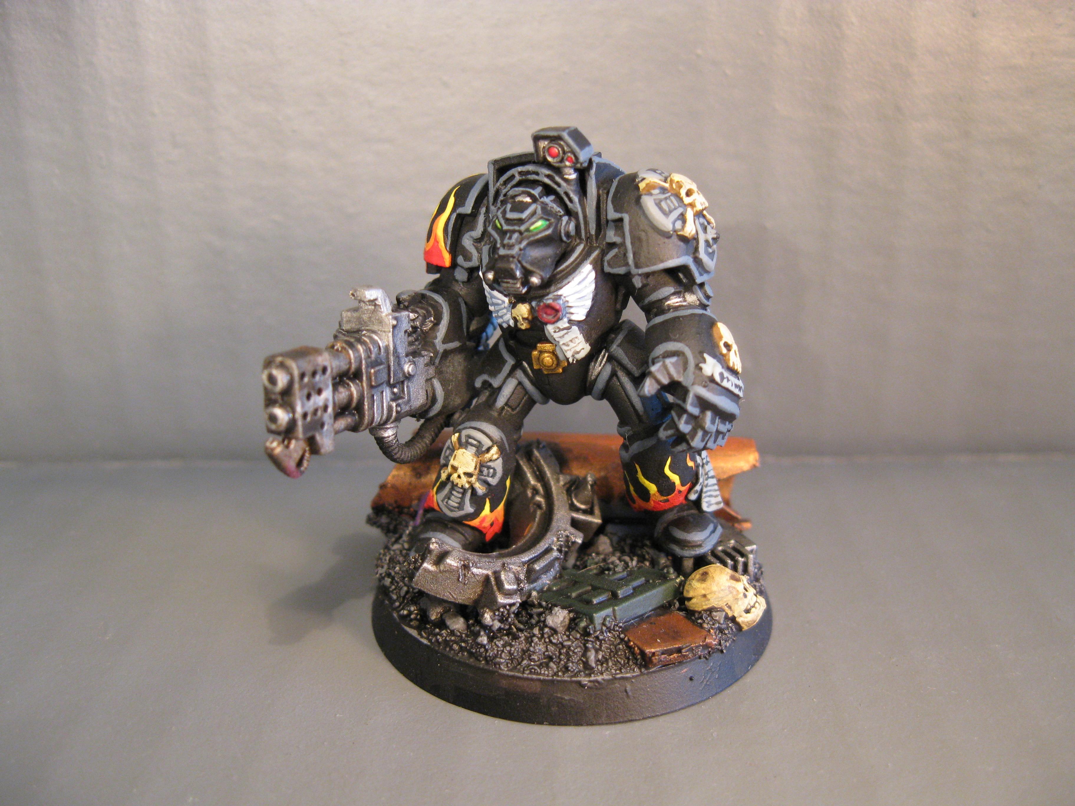 Pro Painted, Space Marines, Warhammer 40,000