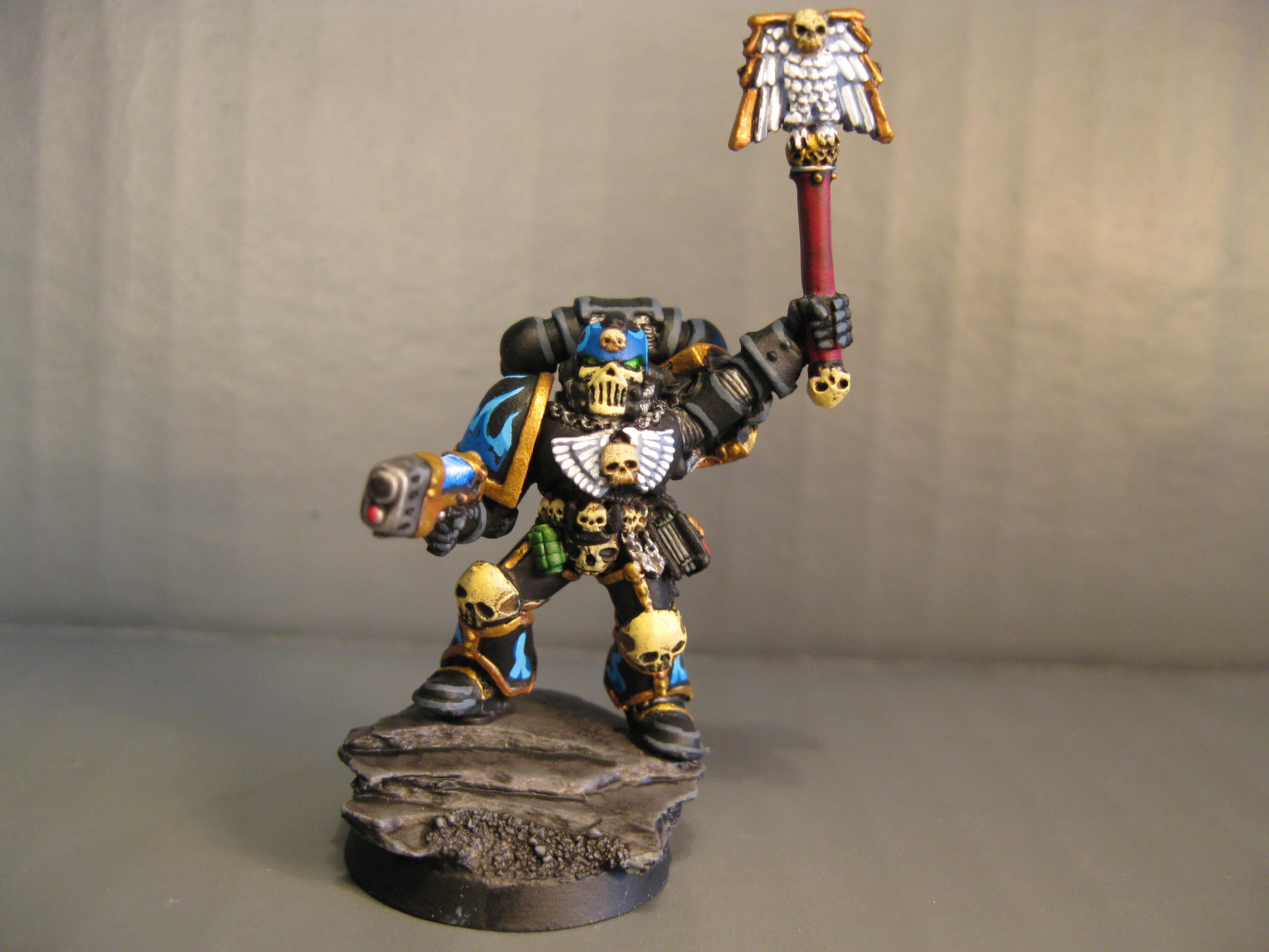 Pro Painted, Space Marines, Warhammer 40,000
