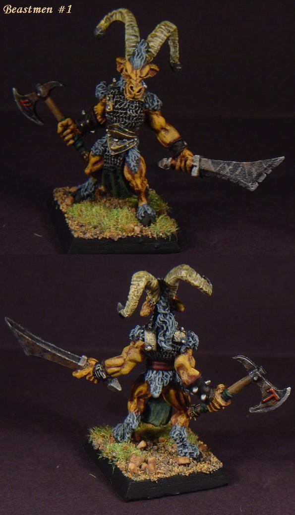 Pathfinders, Pro Painted, Reaper, Reaper Miniatures, Reaper Minis, Rpg, Warhammer Fantasy