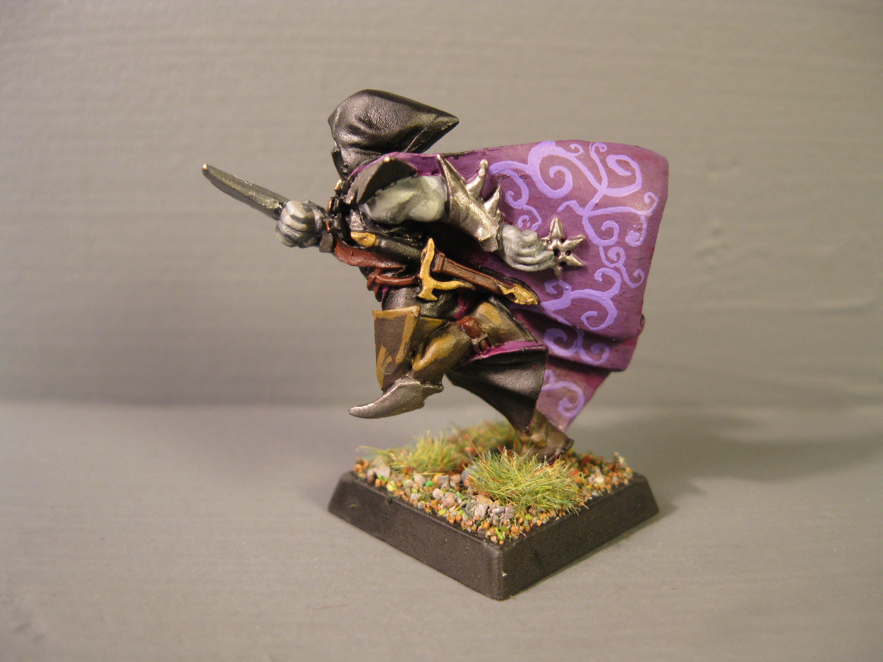 Dark Elves, Pro Painted, Rpg, Warhammer Fantasy