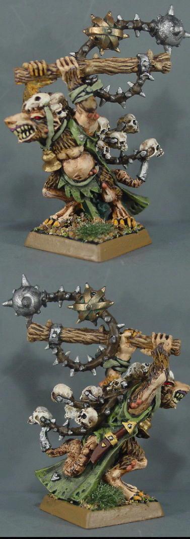 Pro Painted, Rpg, Skaven, Warhammer Fantasy