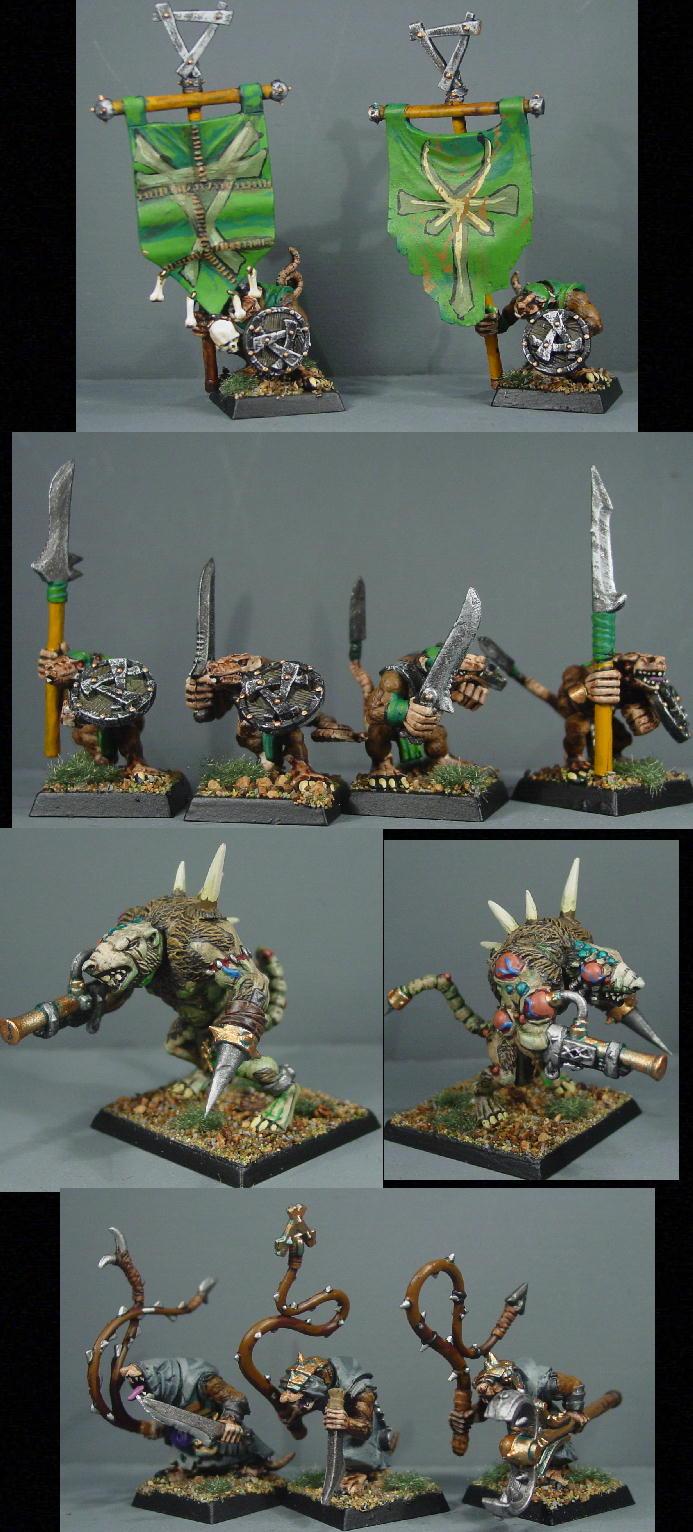 Pro Painted, Rpg, Skaven, Warhammer Fantasy