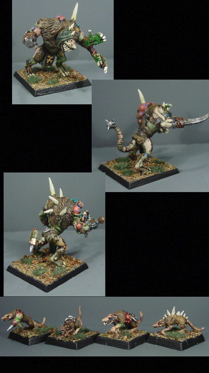Pro Painted, Rpg, Skaven, Warhammer Fantasy