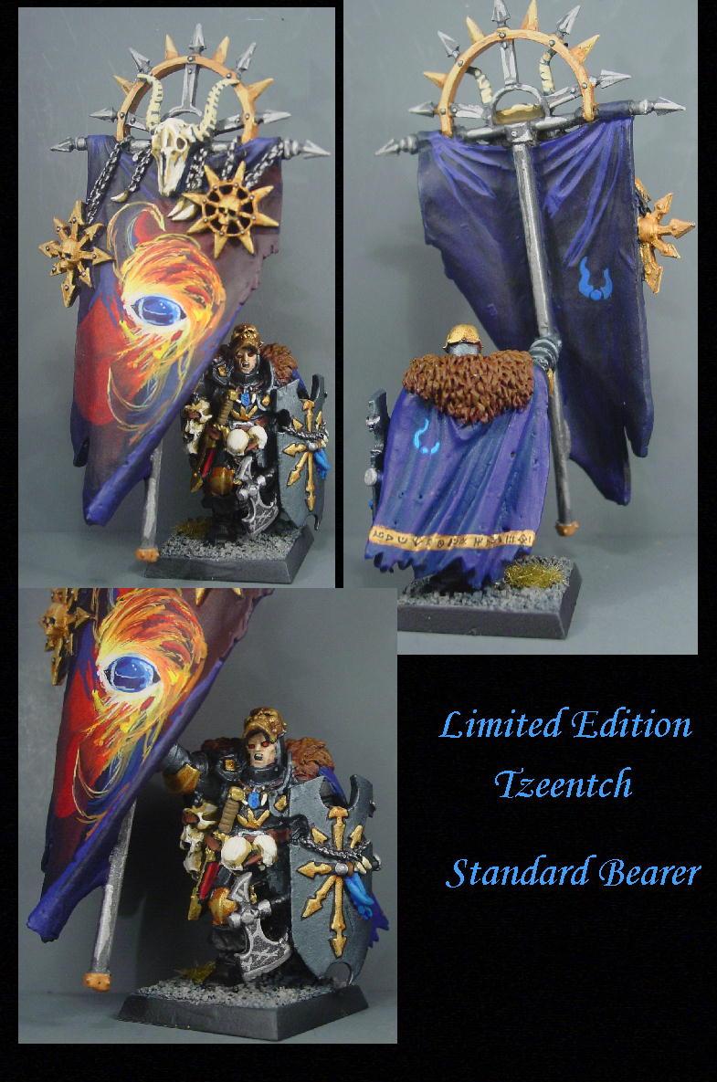 Chaos, Chaos Wariors, Pro Painted, Rpg, Warhammer Fantasy