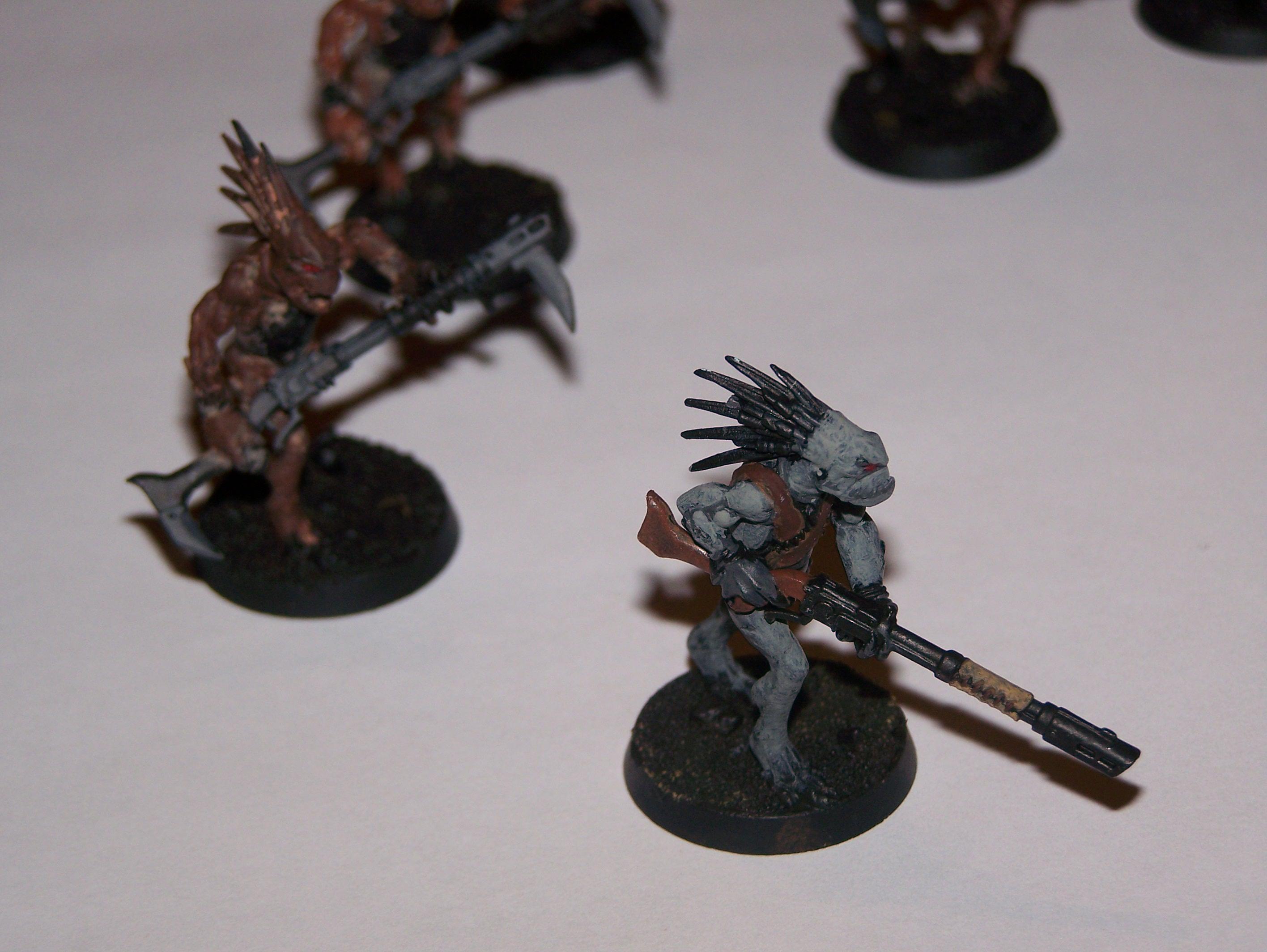 Classic, Drybrush, Kroot