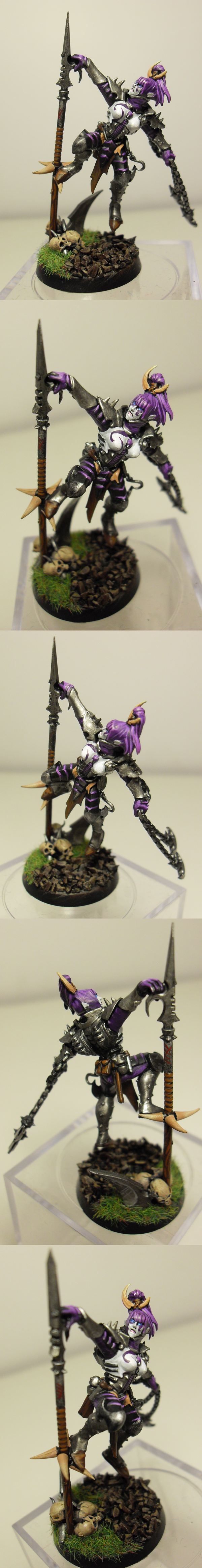 Dark Eldar, Elves, Wych