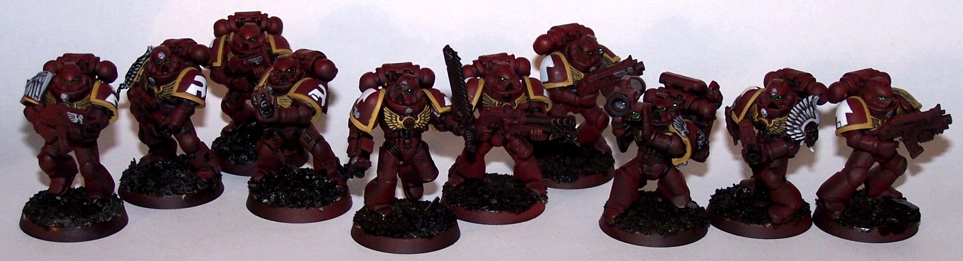 Emperor's Wings, Space Marines, Tactical Squad, Warhammer 40,000
