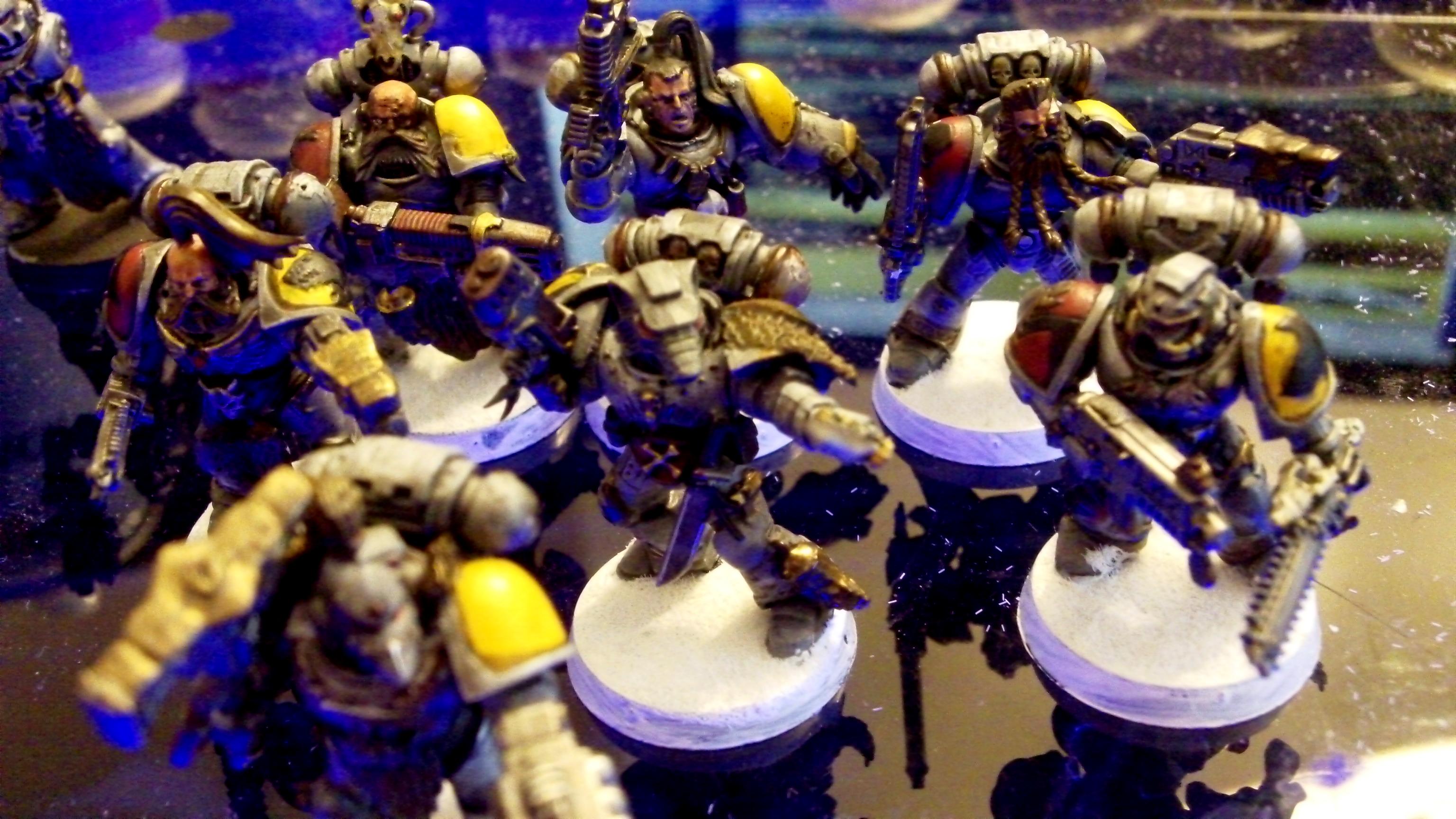 First, Grey, Hunters, Space, Terminator Armor, Wolf