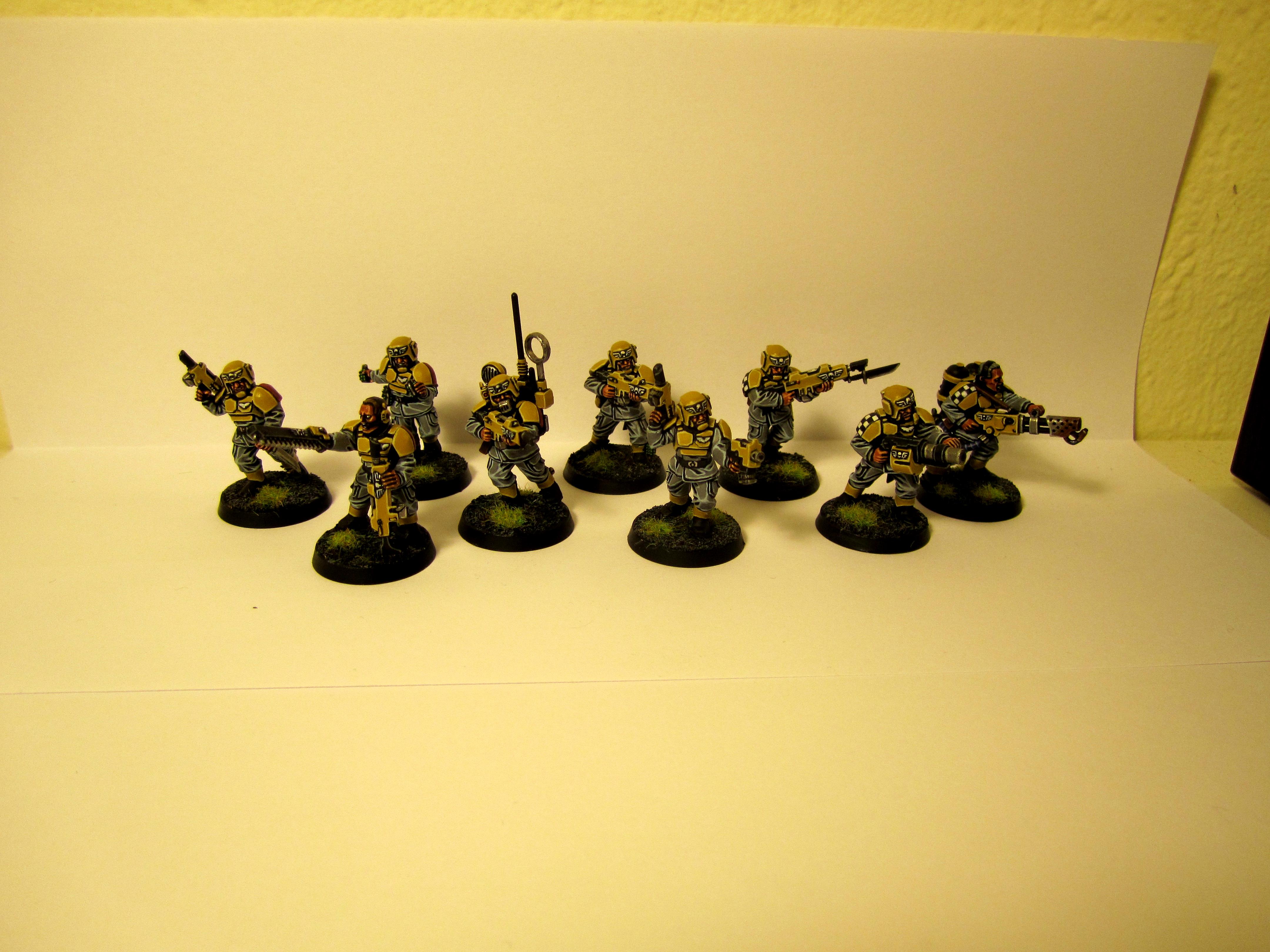 Imperial Guard, Imperial Guard