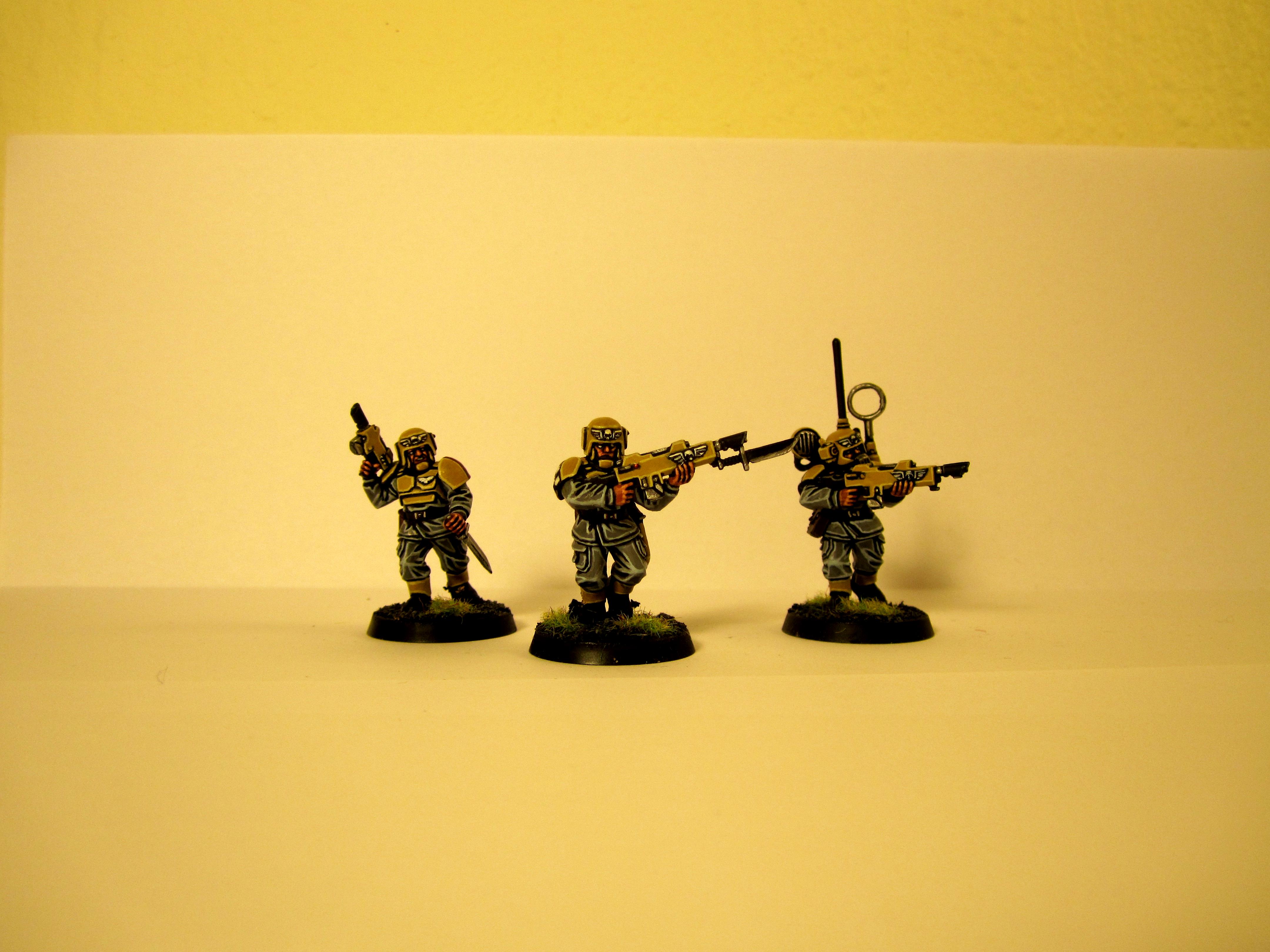 Imperial Guard, Imperial Guard