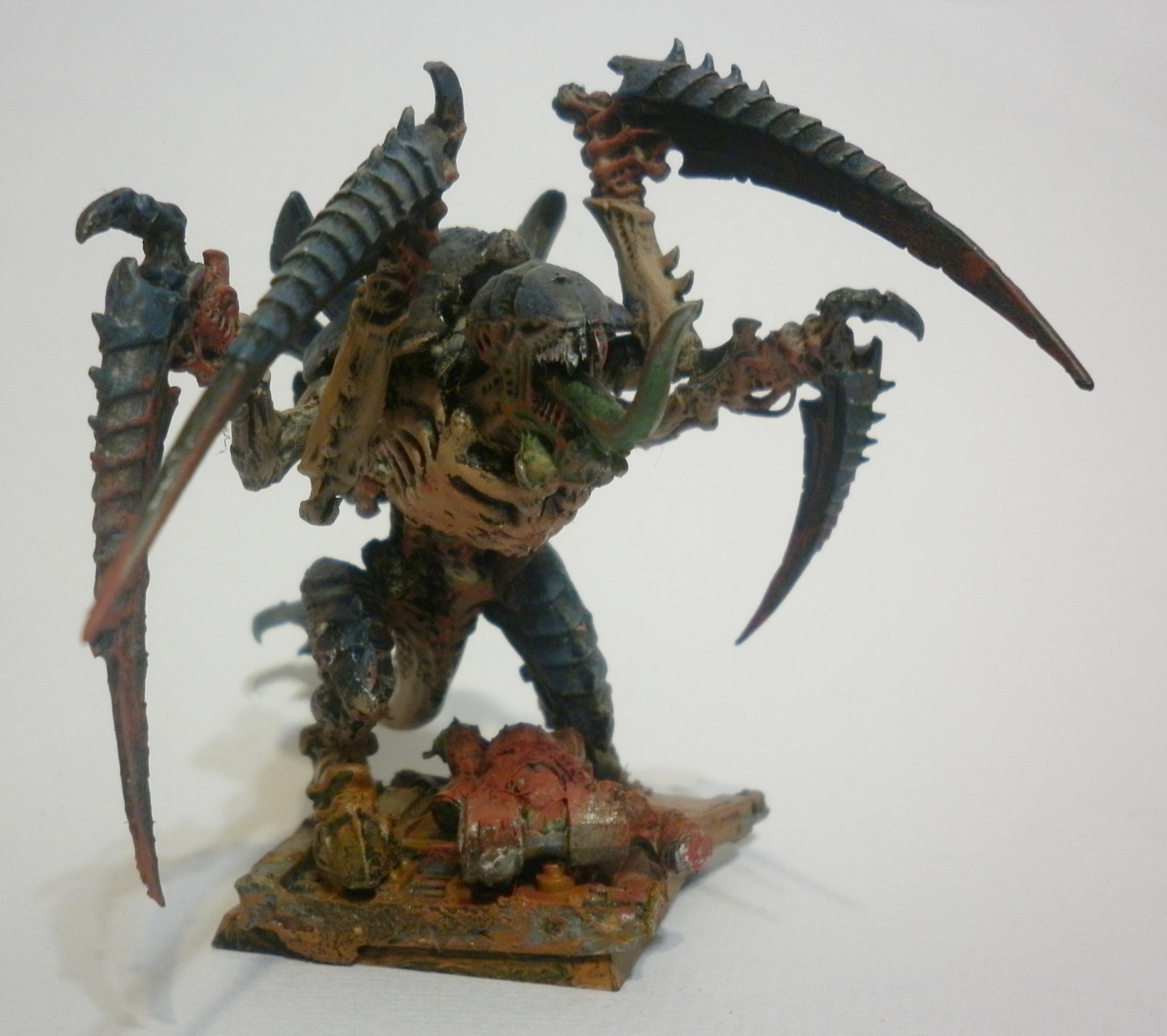 Fleet, Hive, Tyranids