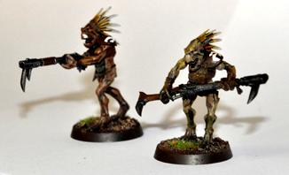 Kroot, Closer look at kroot