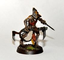 Kroot, My Kroot Shaper