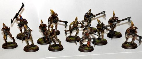 Kroot Squad