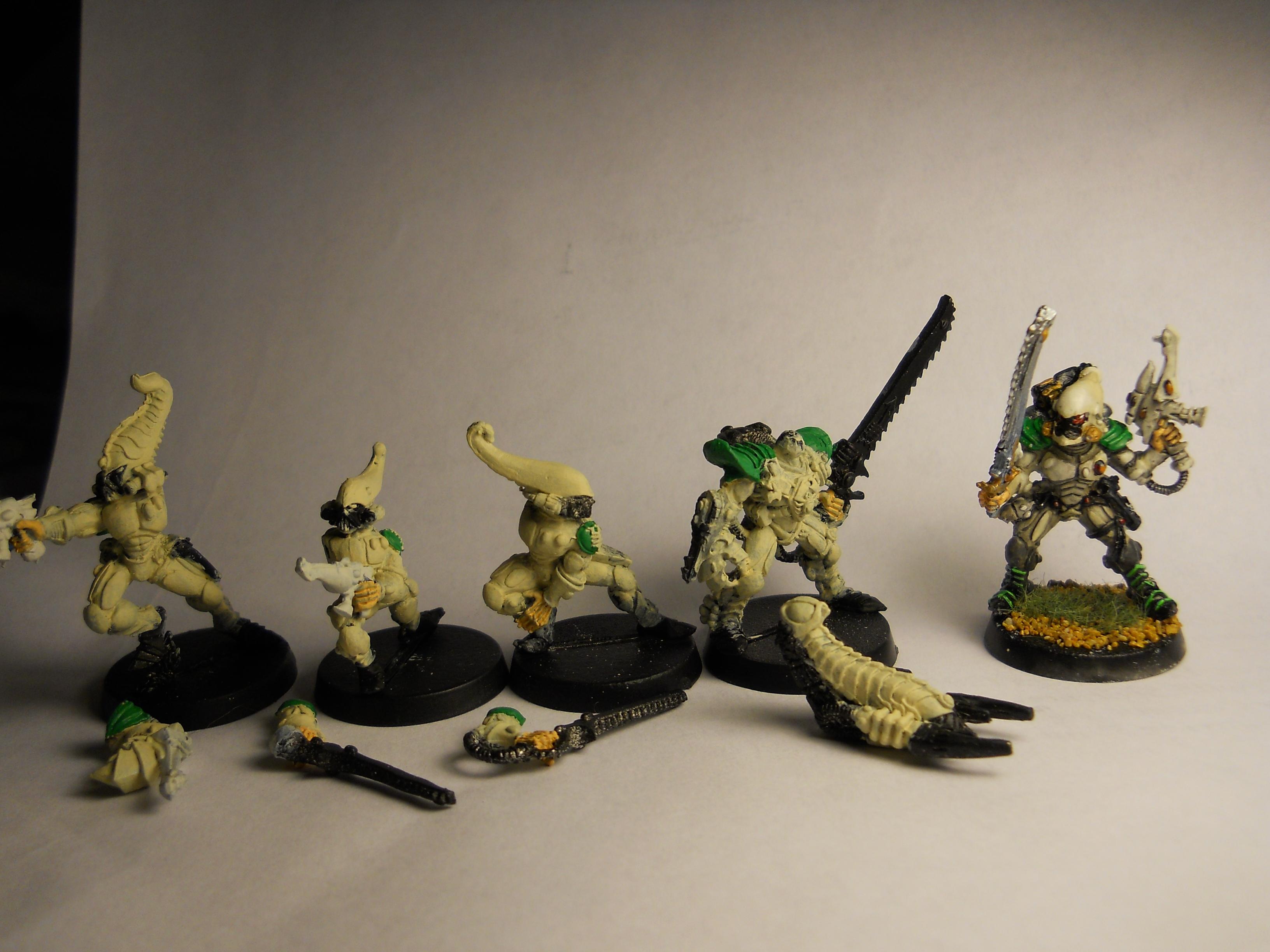 Ulthwe Scorpions - WIP