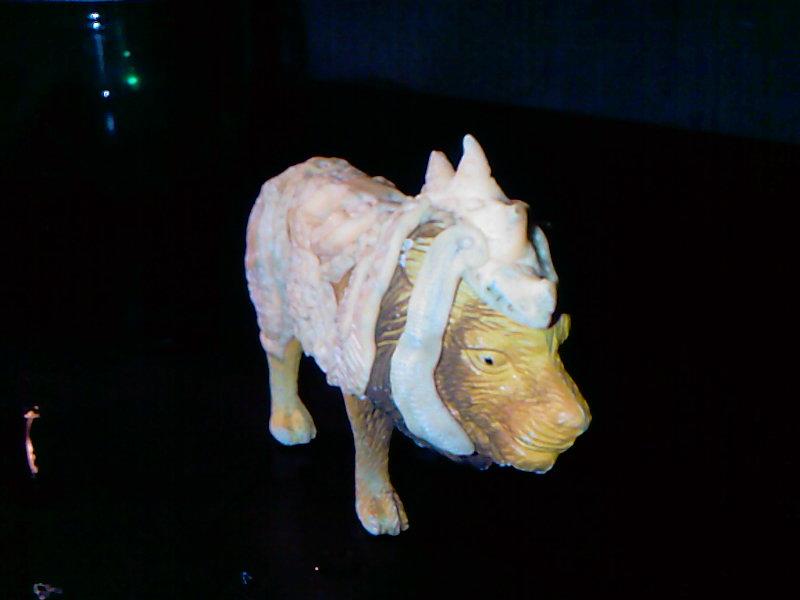 LION PROXY