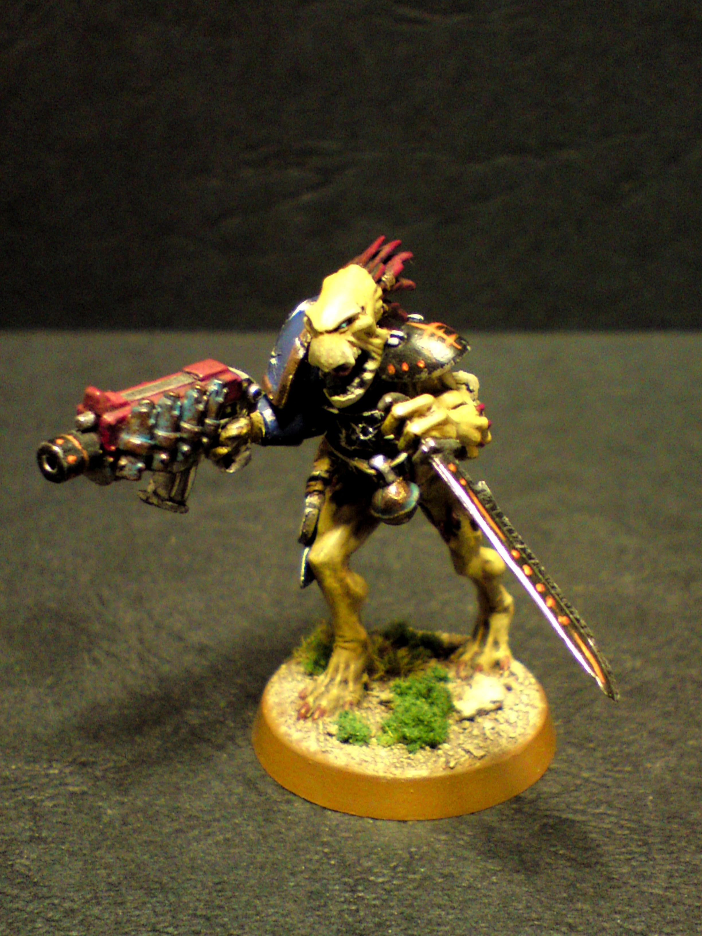 Conversion, Kroot, Shoulderpad, Warhammer 40,000