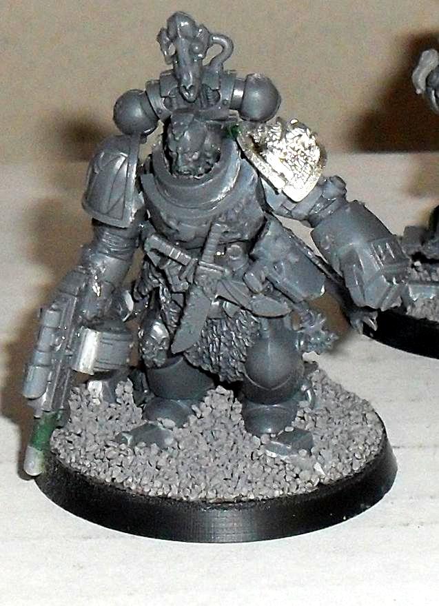 Deathwatch, Space Wolves, True-scale