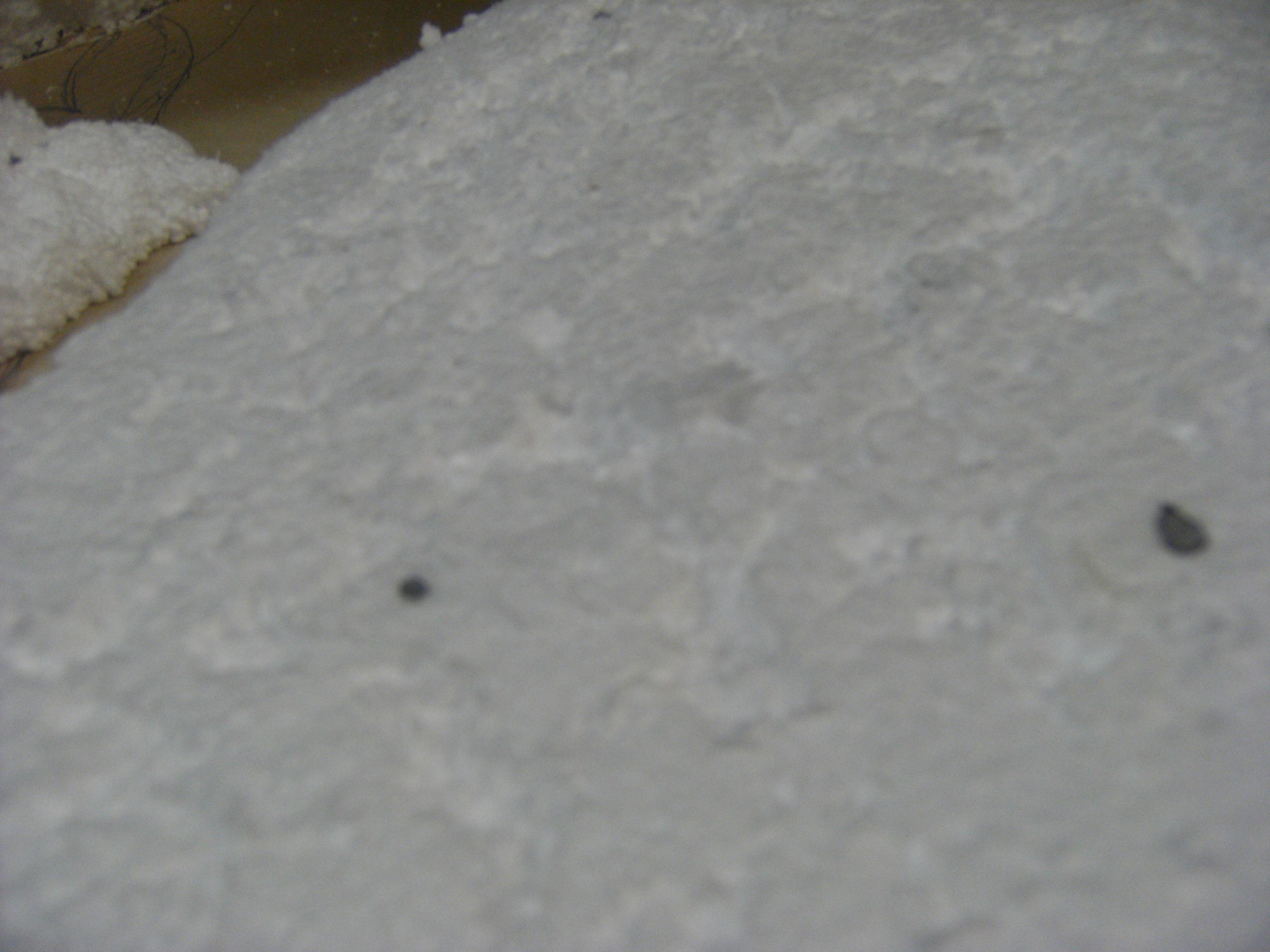 Another rubbish texture shot