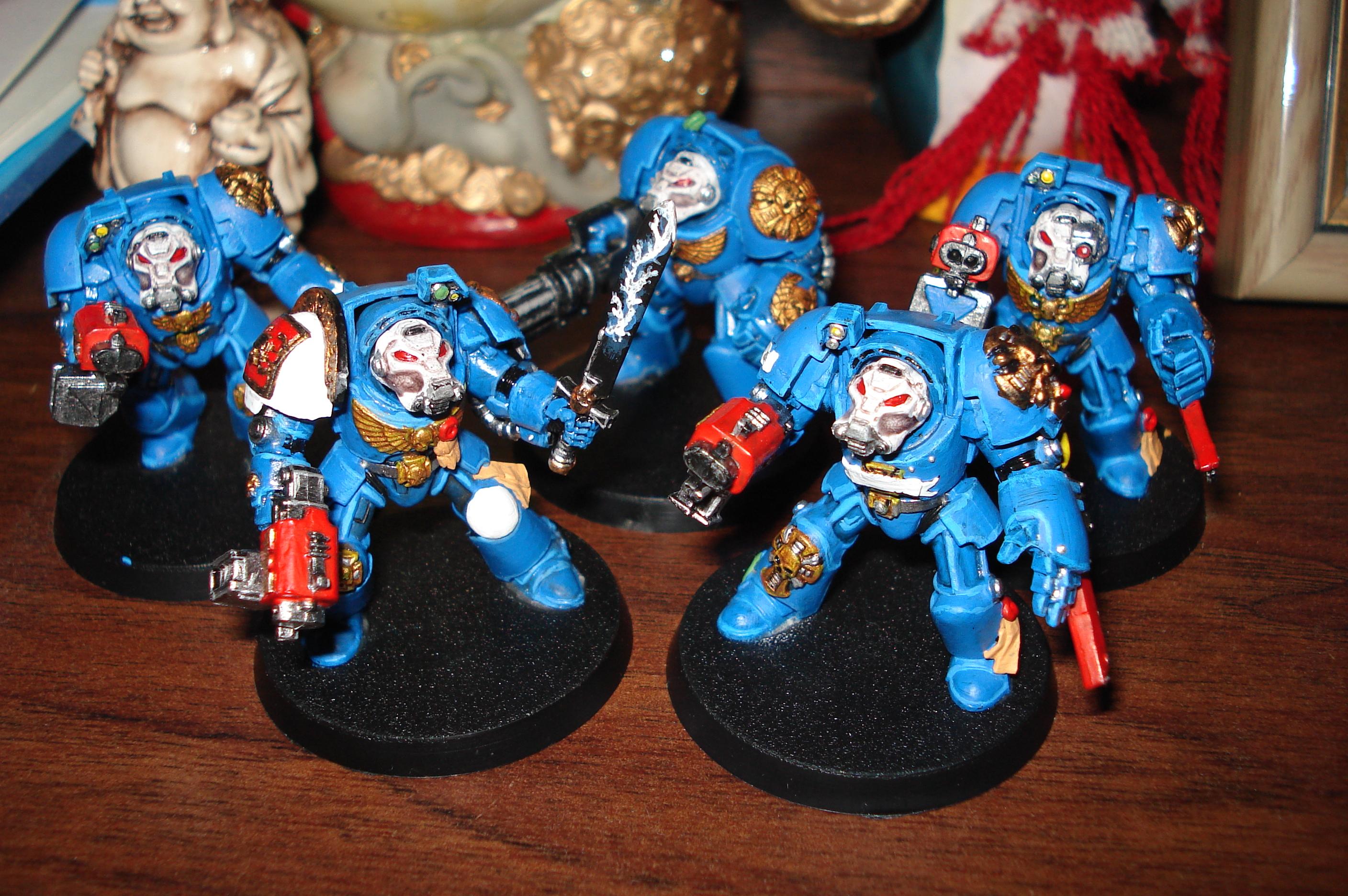 Terminator Squad, Work In Progress