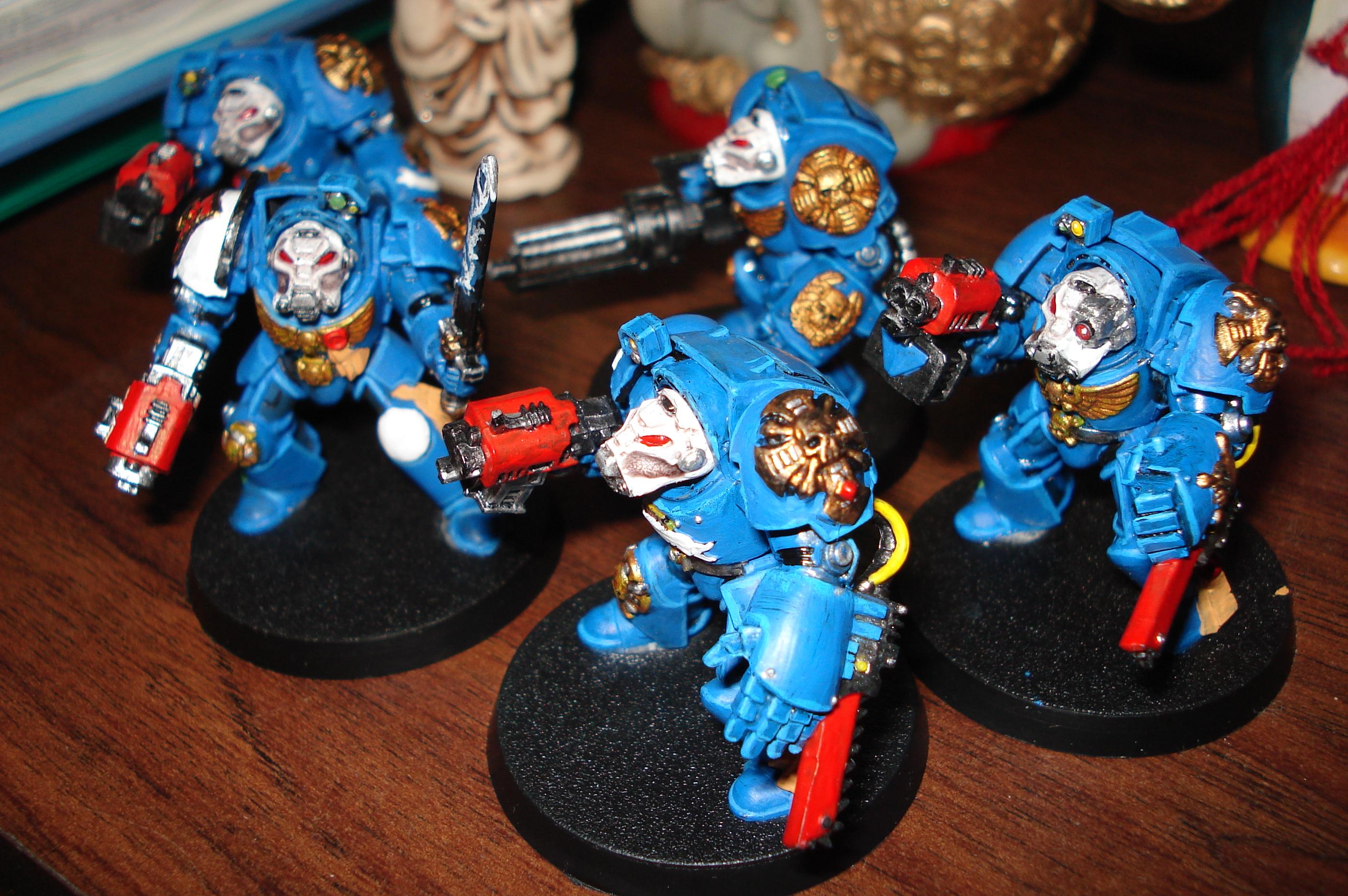 Terminator Squad, Work In Progress