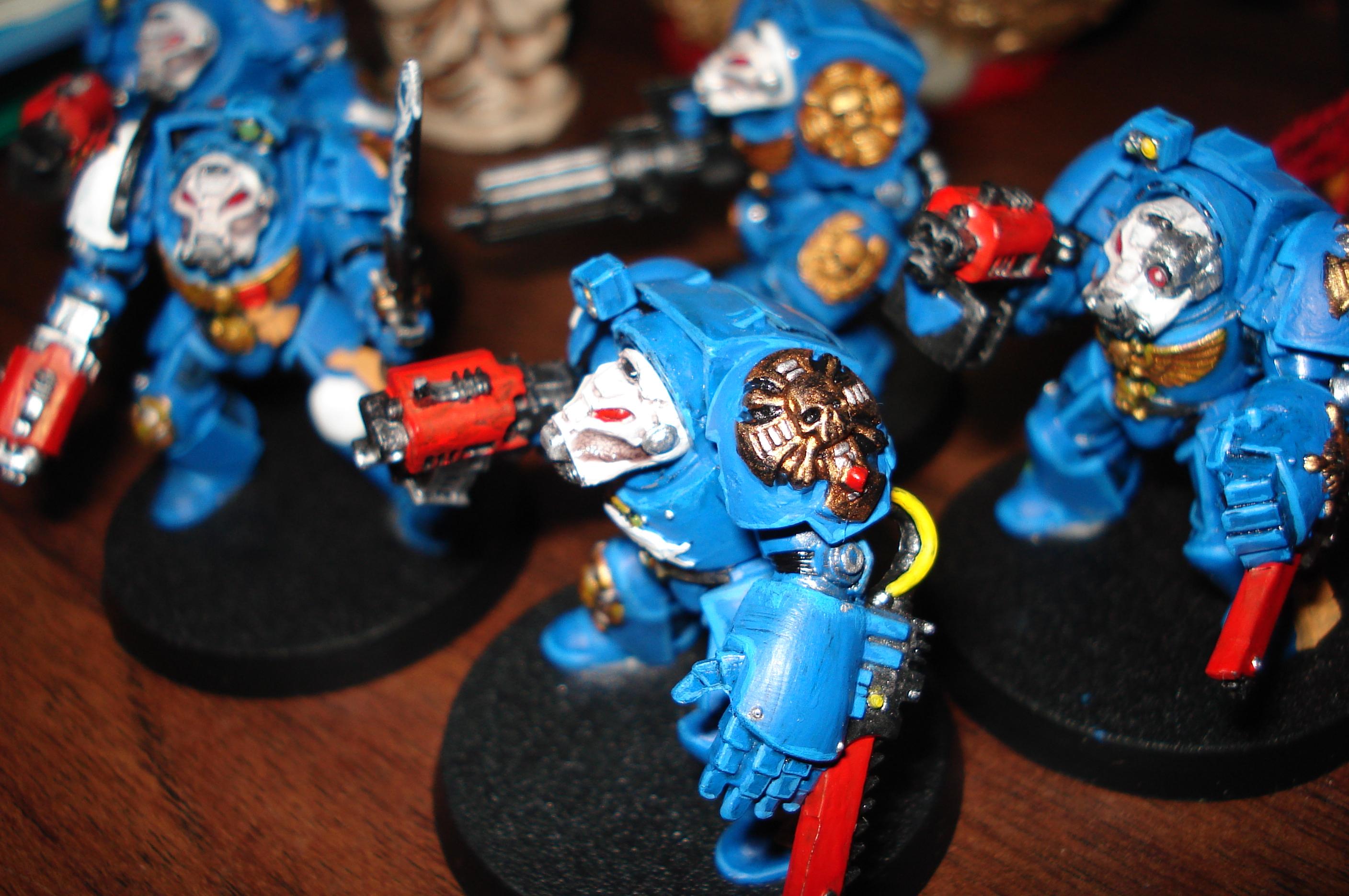 Terminator Squad, Work In Progress