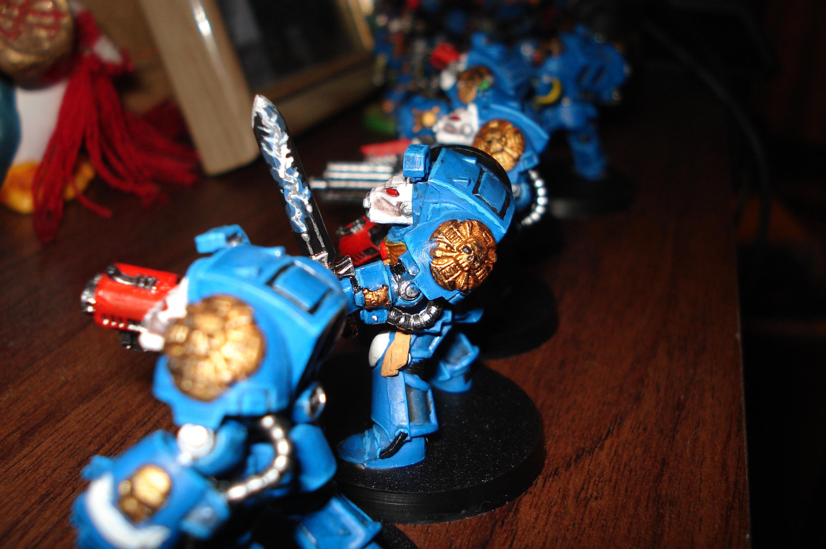 Terminator Squad, Work In Progress