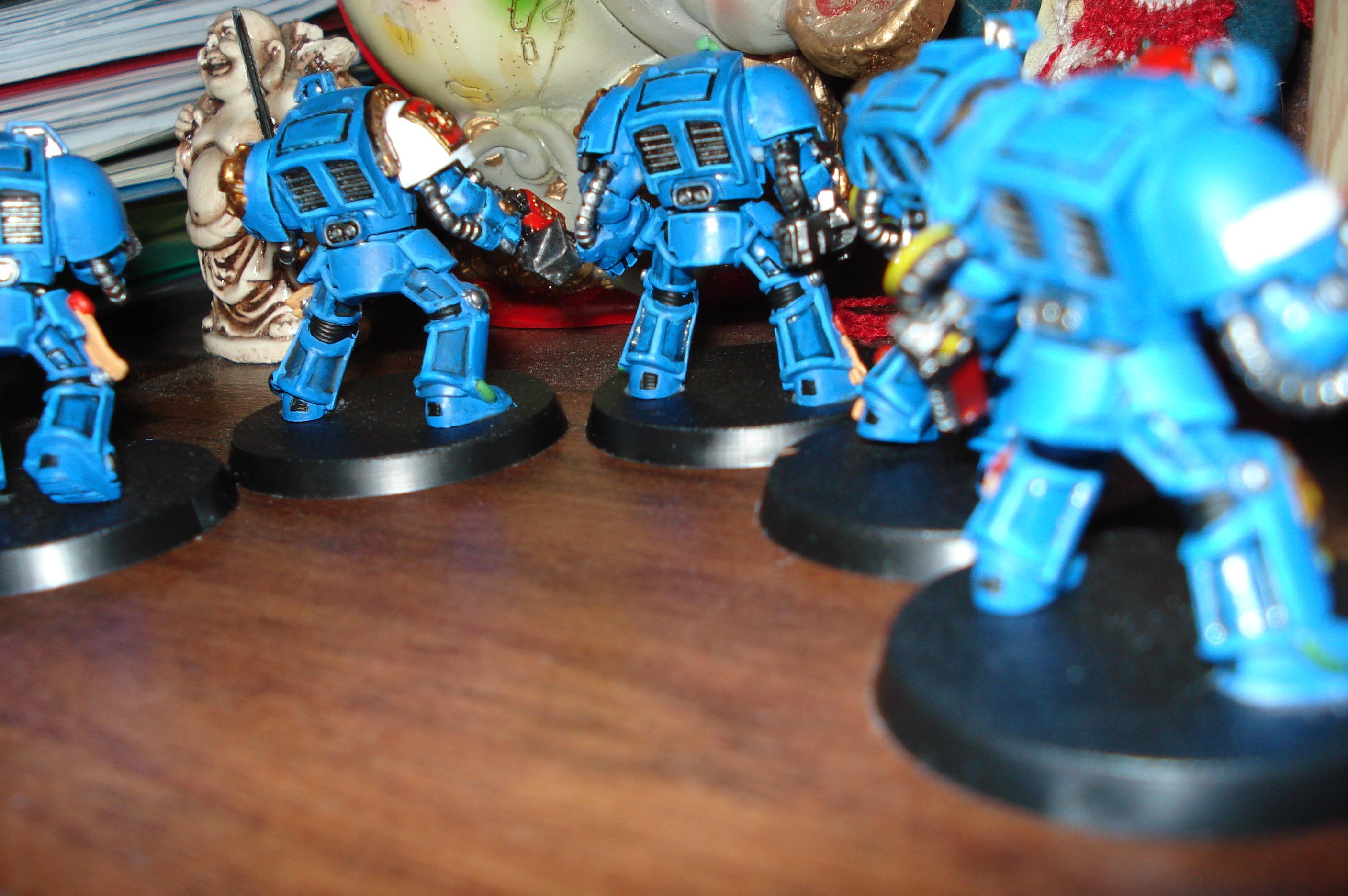 Terminator Squad, Work In Progress