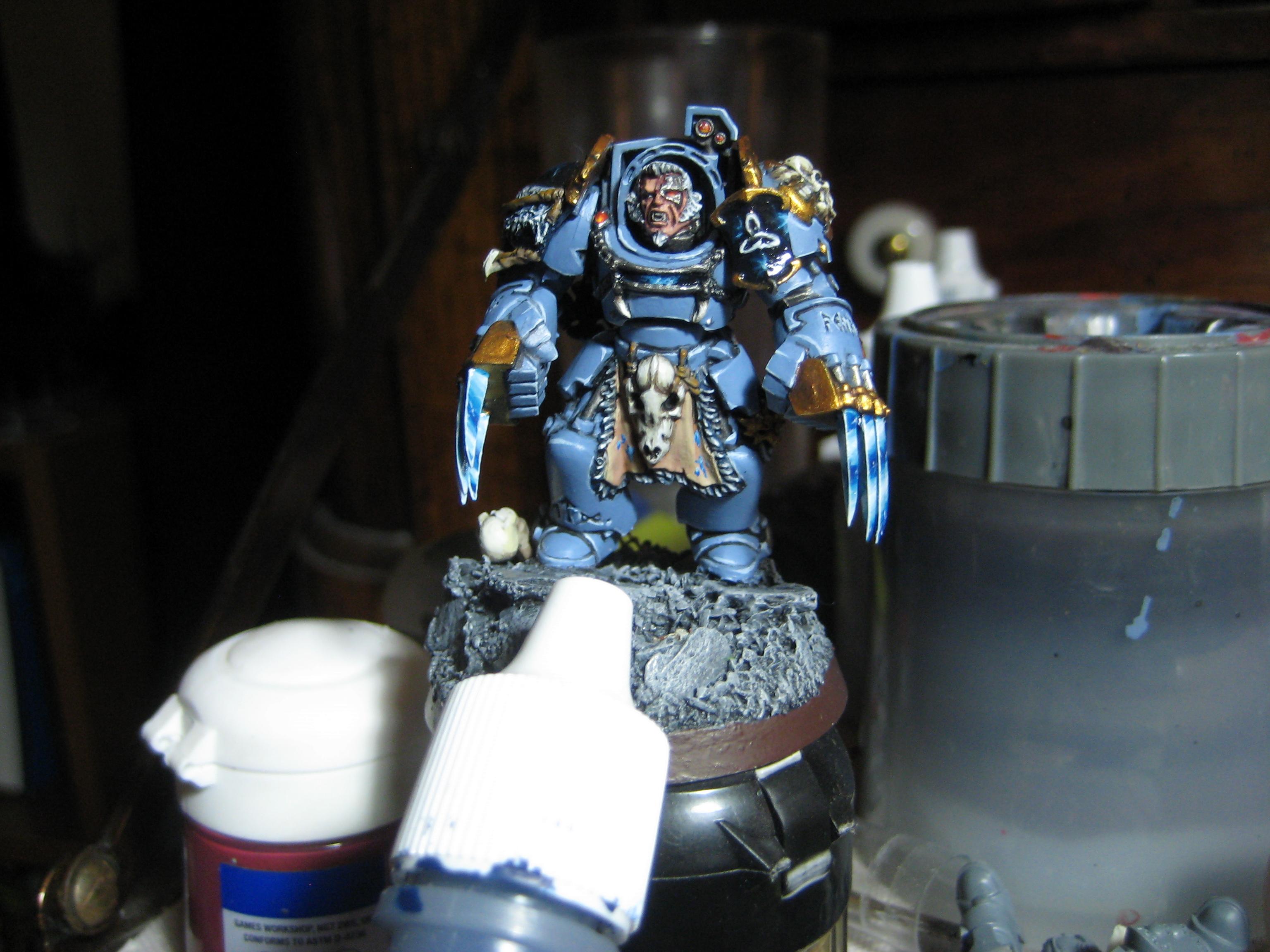 Space Wolves, Space Wolf Lord Front Far