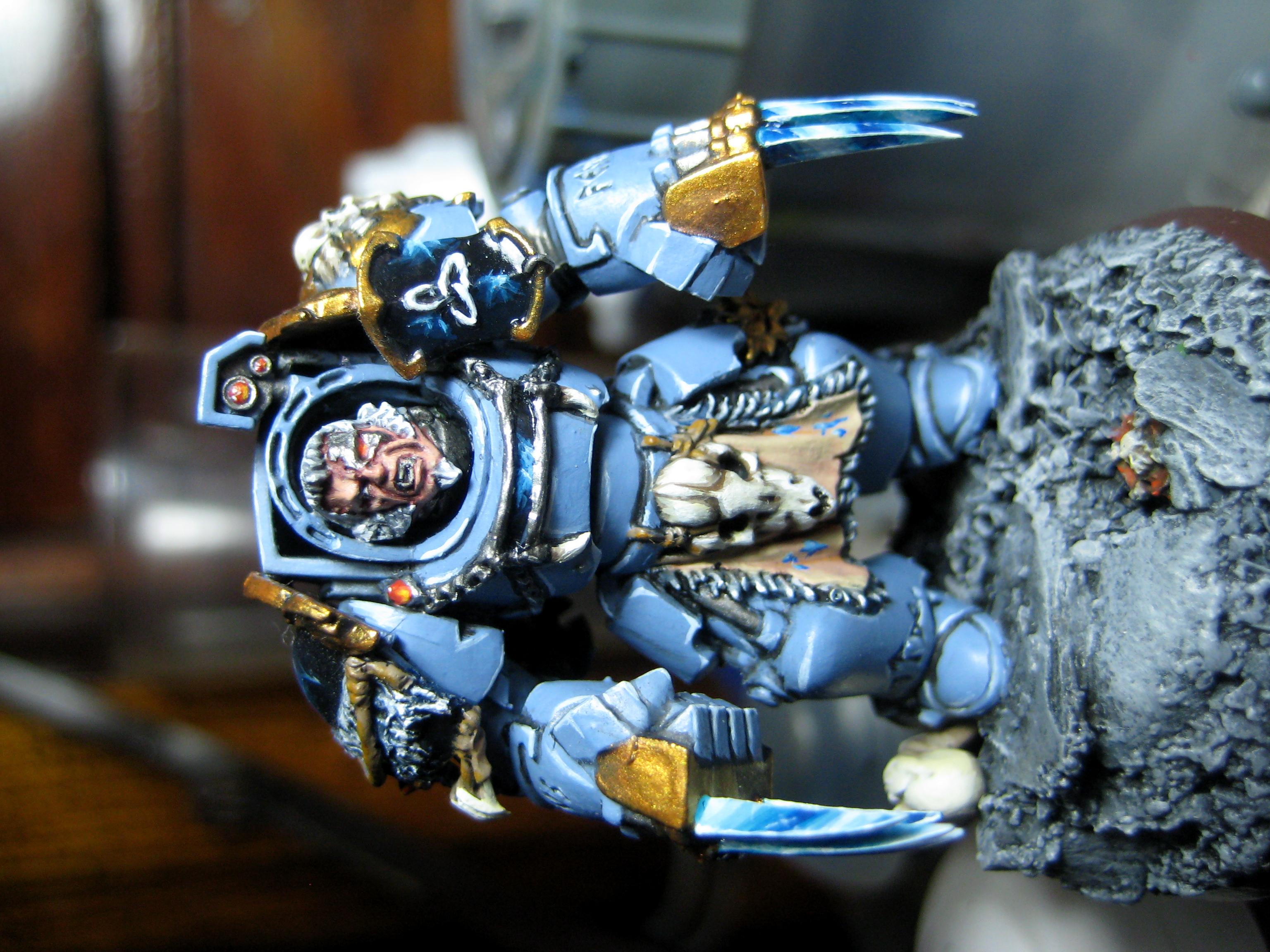 Space Wolves, Space Wolf Lord Front 2