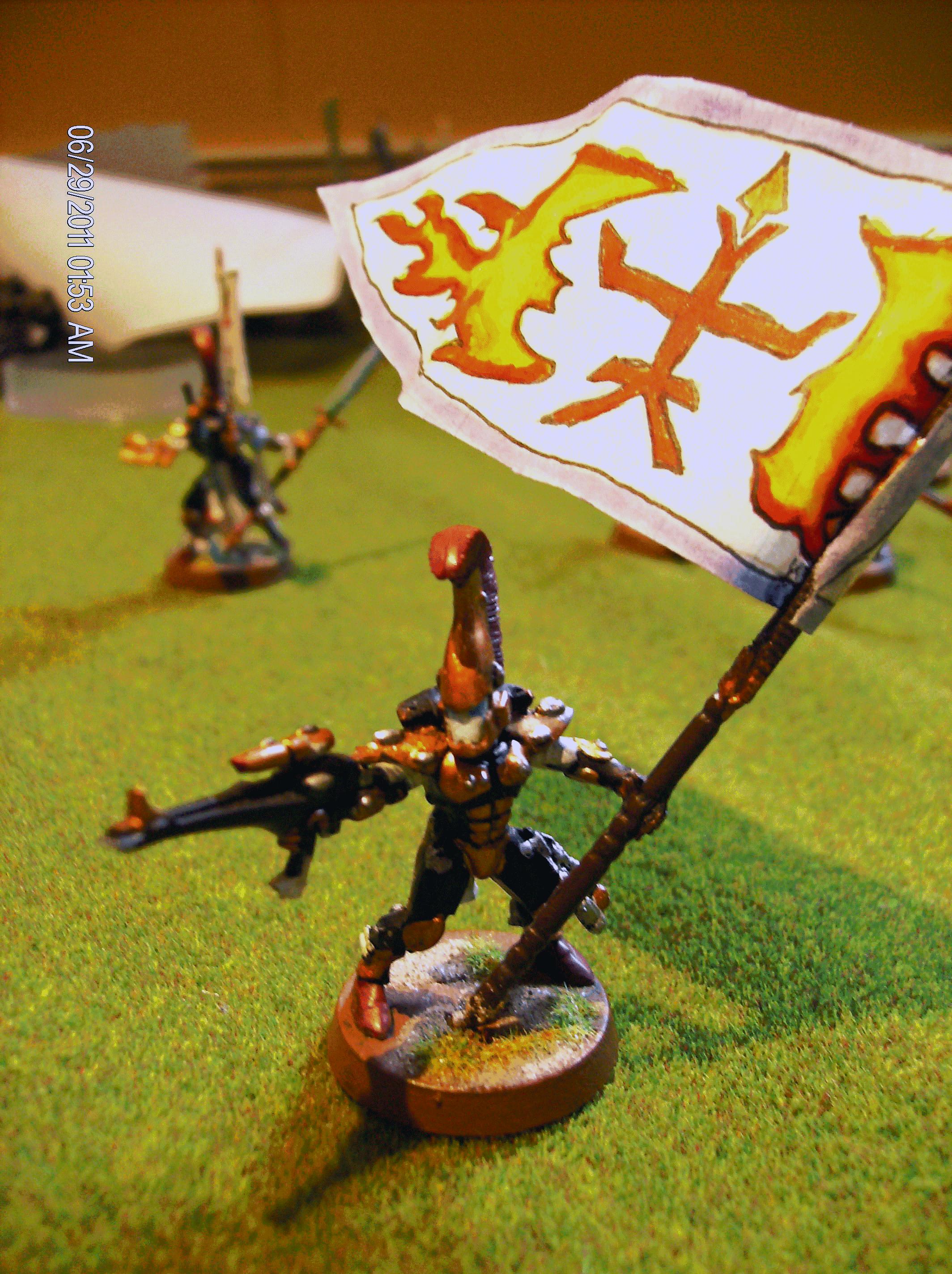 Banner, Conversion, Eldar