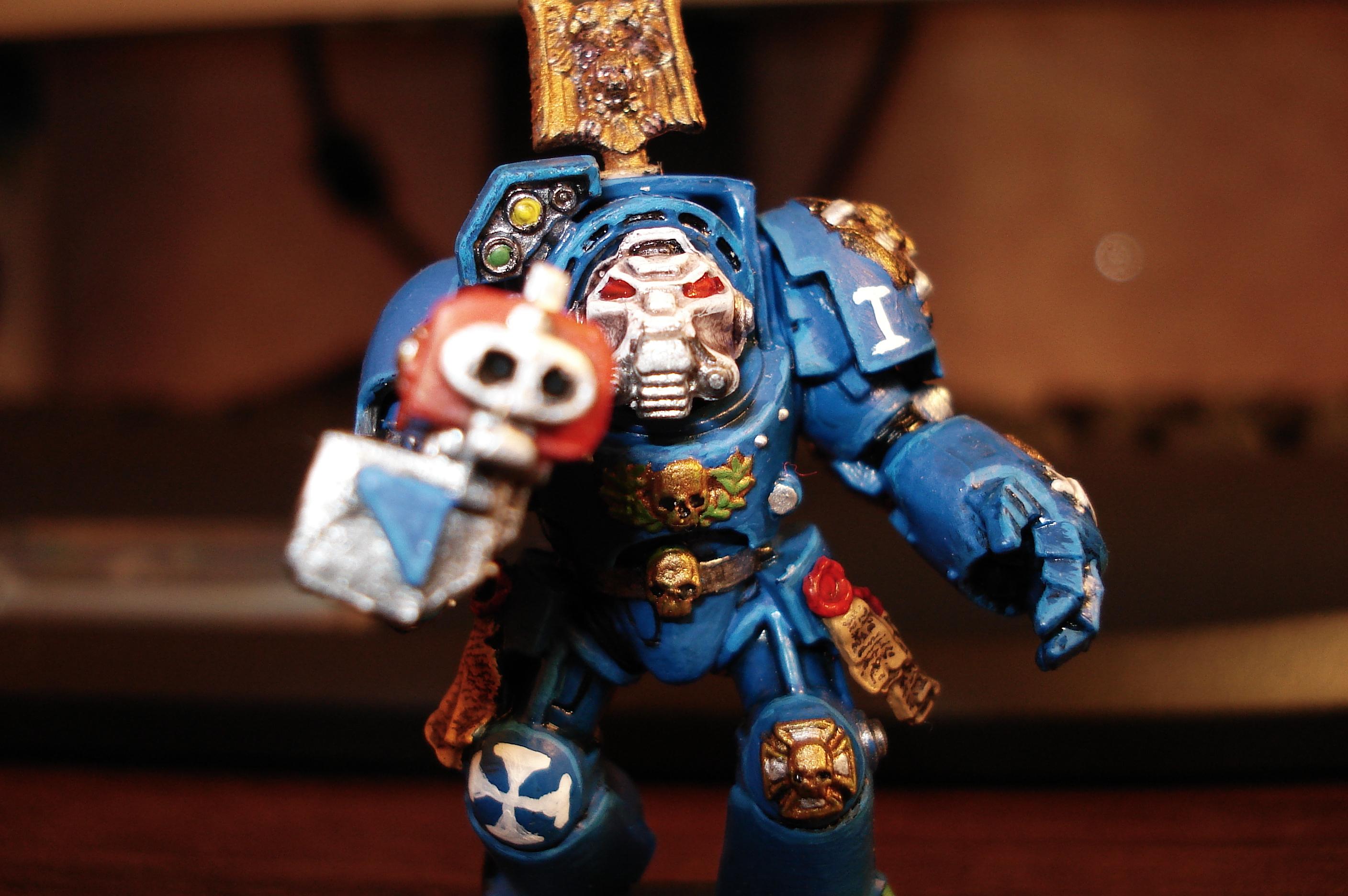 Terminator Squad Wip