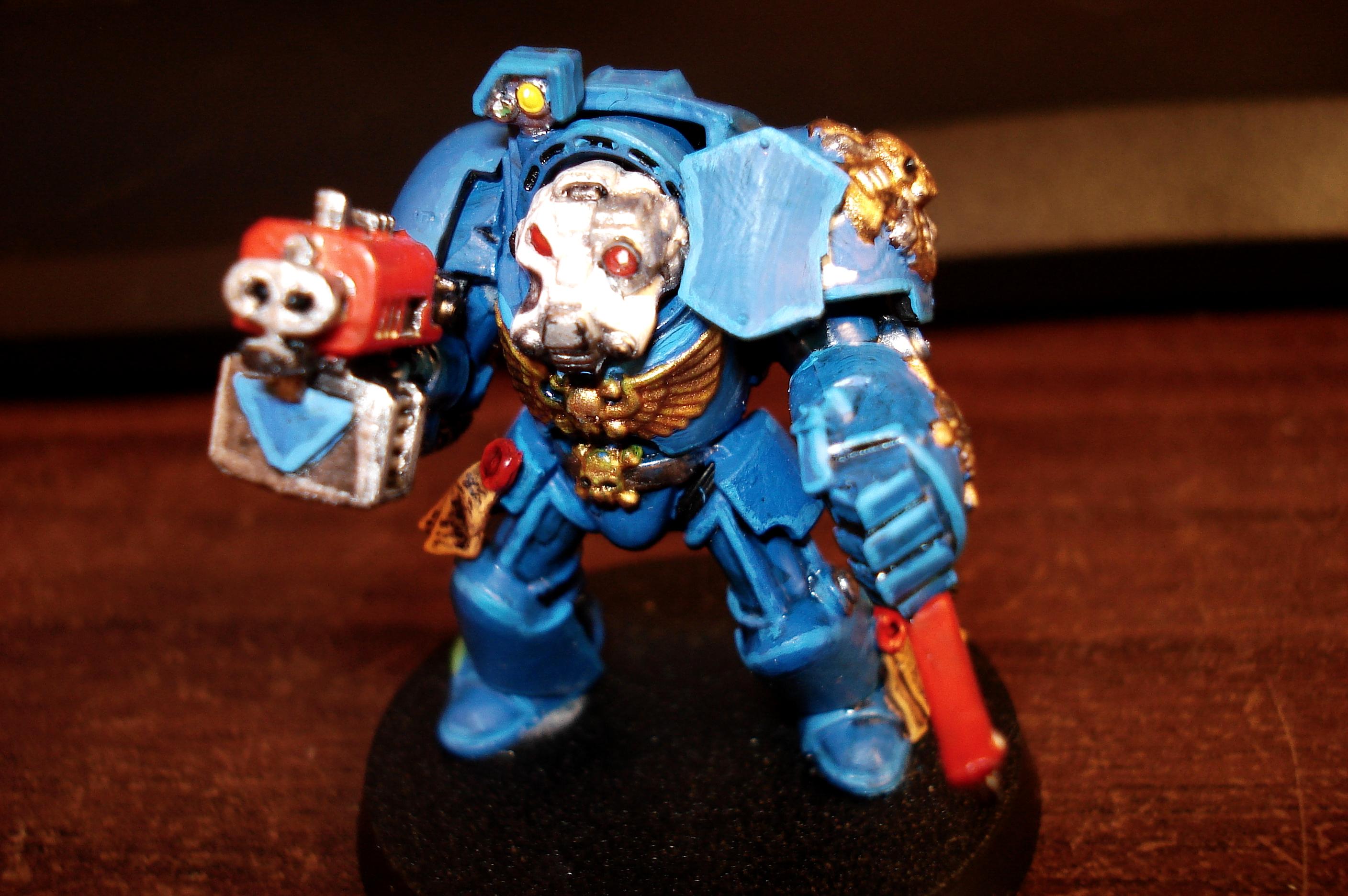 Terminator Squad Wip
