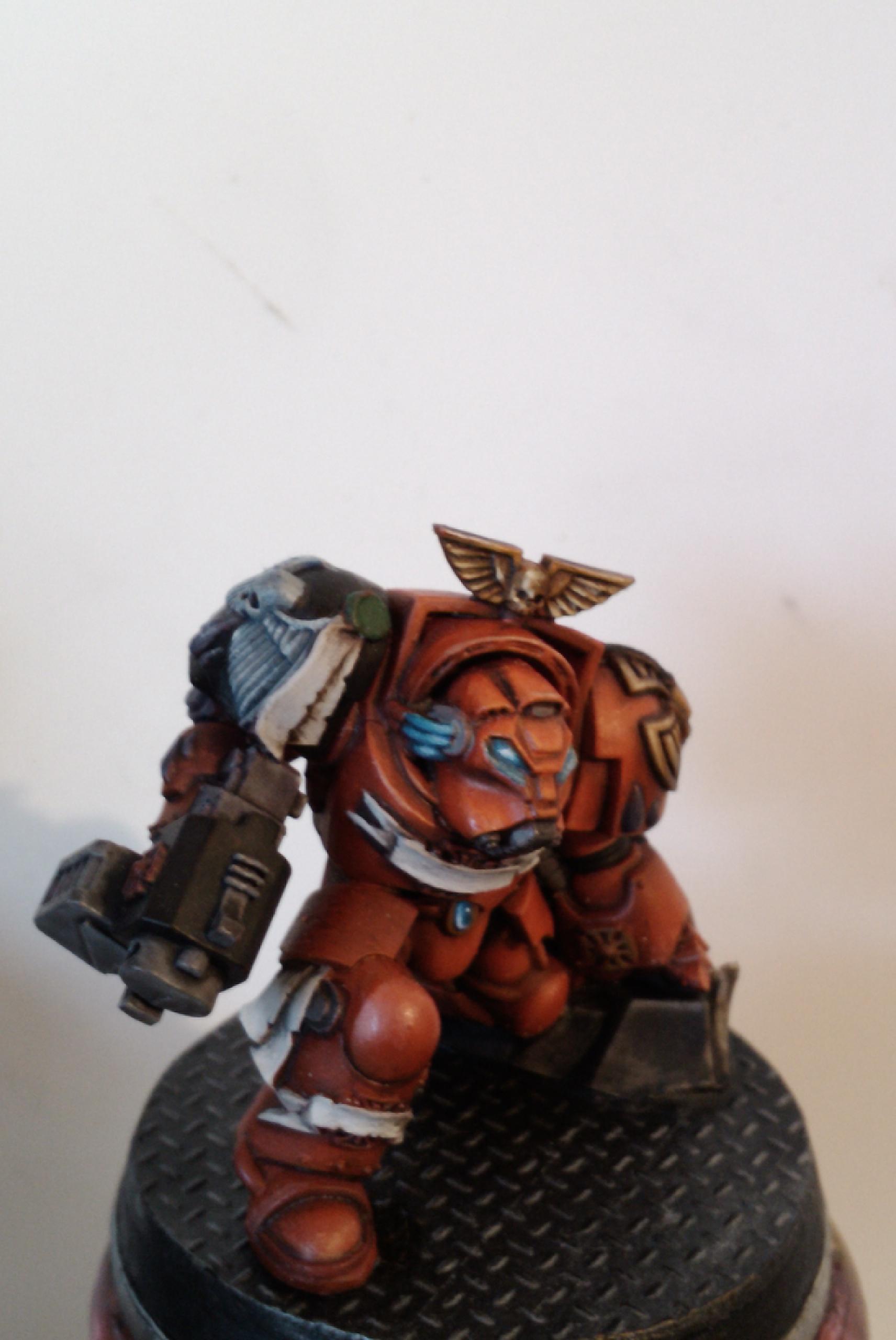 Space Marines