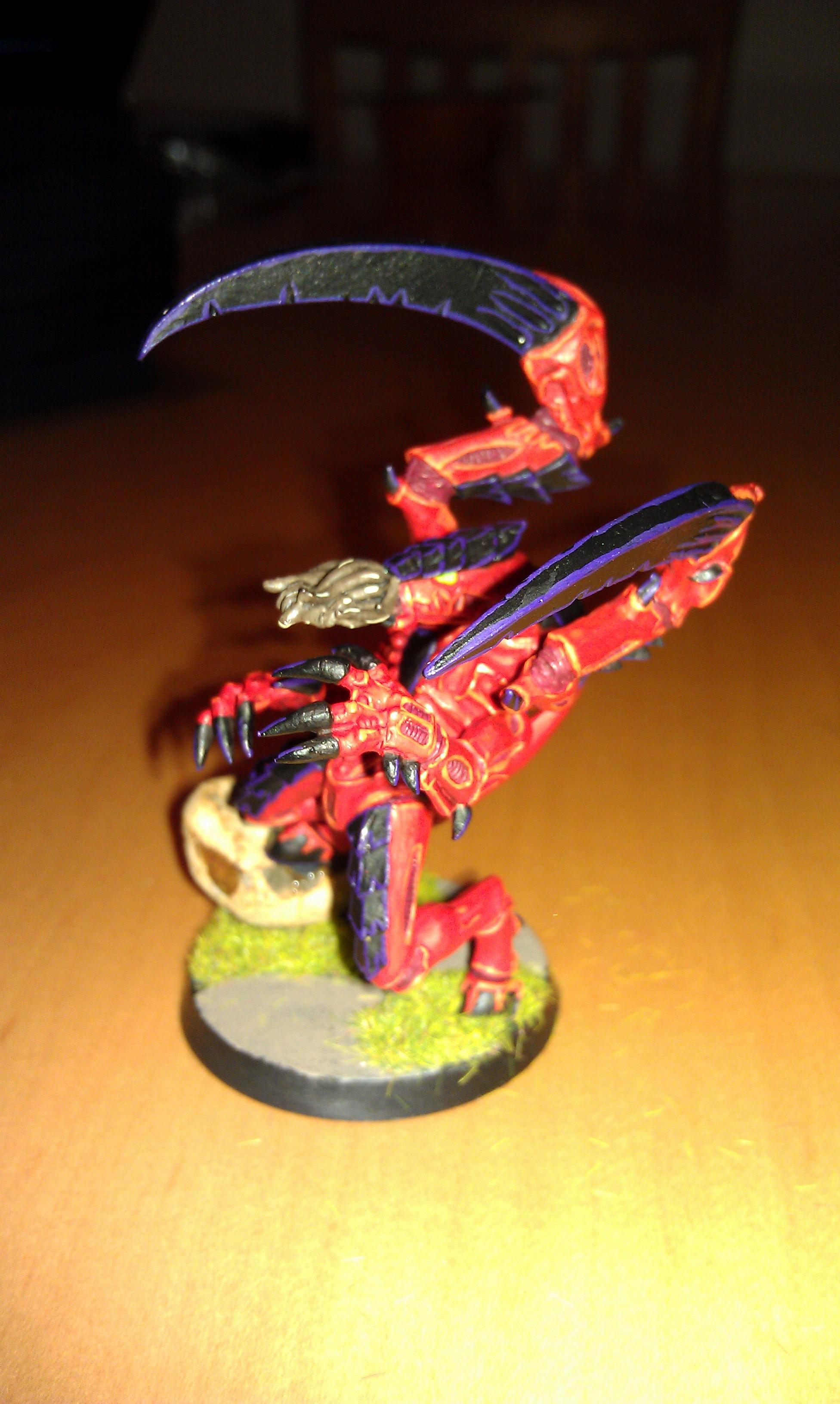 lictor