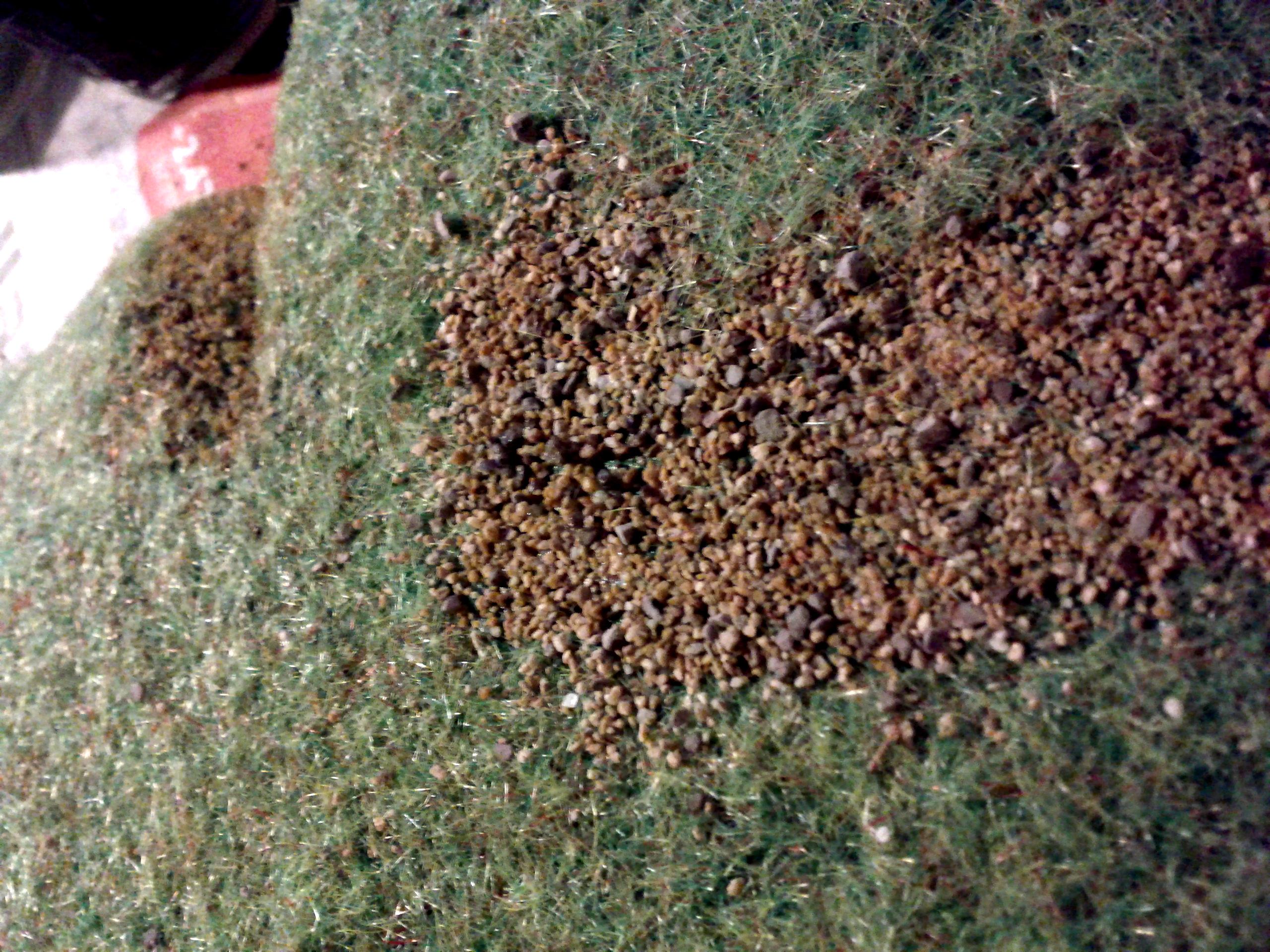 A closeup