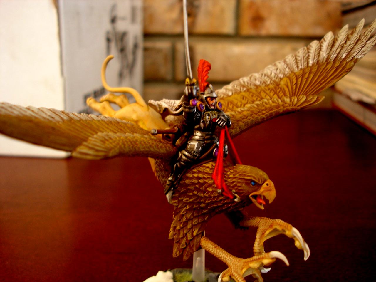 Captain, Empire, Griffon, Warhammer Fantasy
