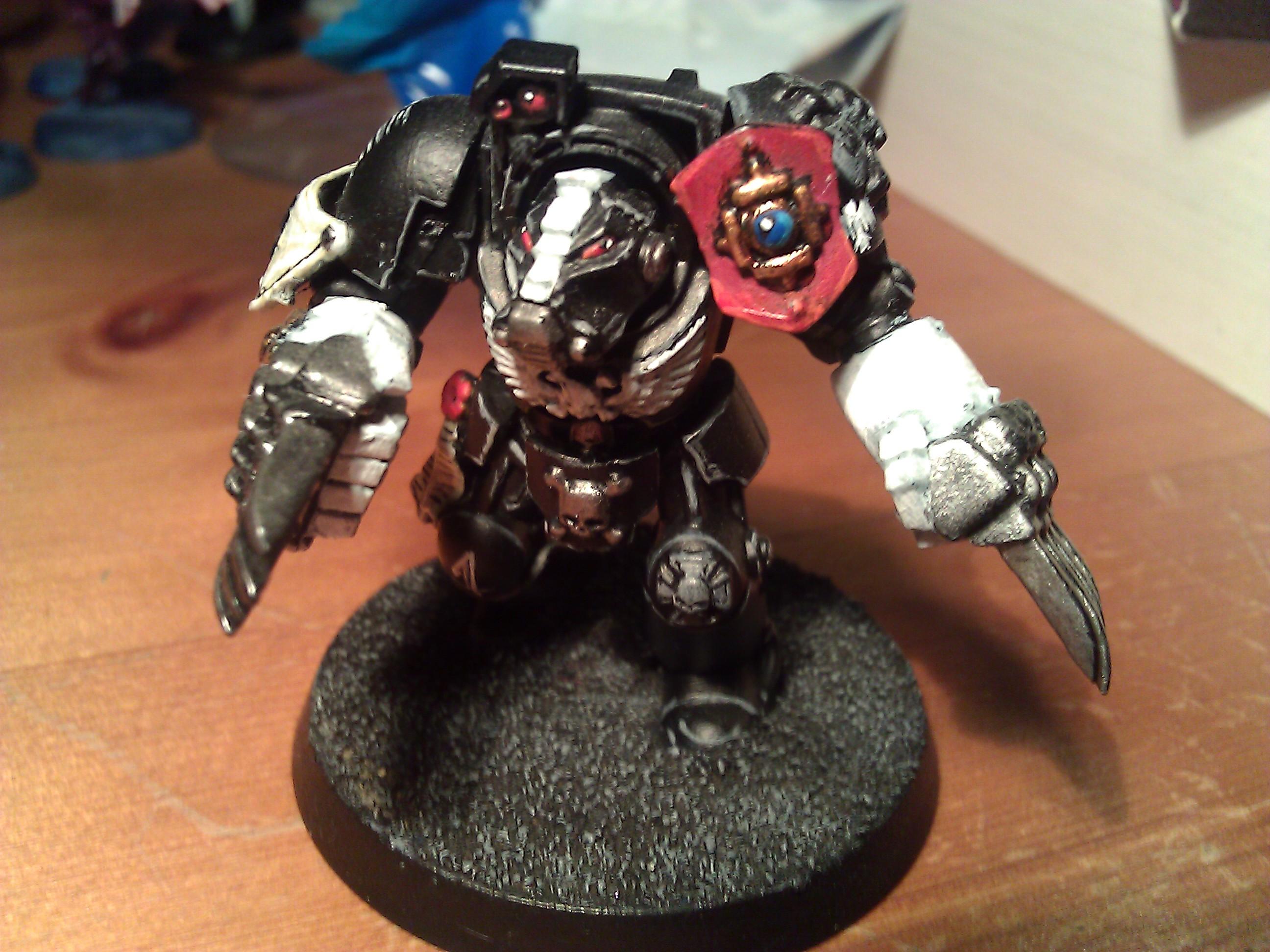 Lightning Claw Termie - Raven Guard