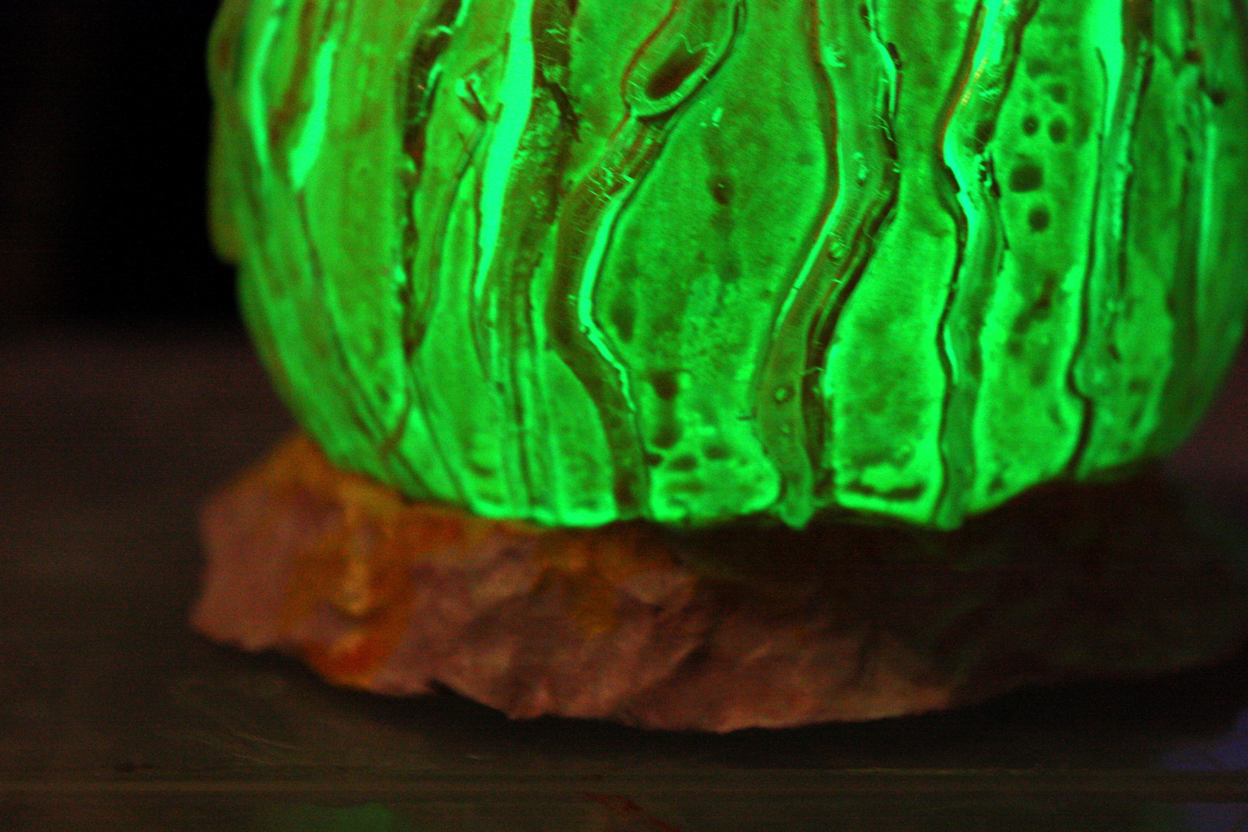 Mycetic Spore