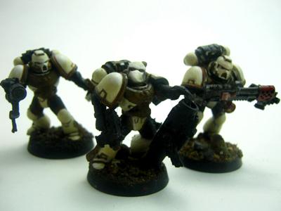 Black Templars, Work In Progress