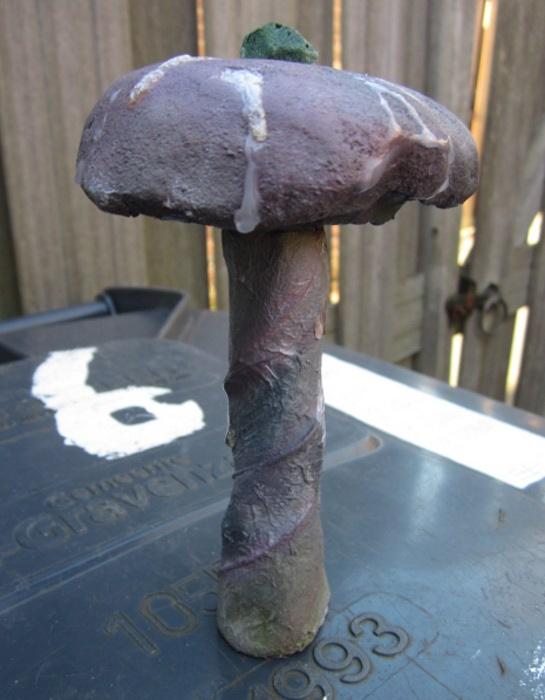 Mushroom, Terrain, Warpstone