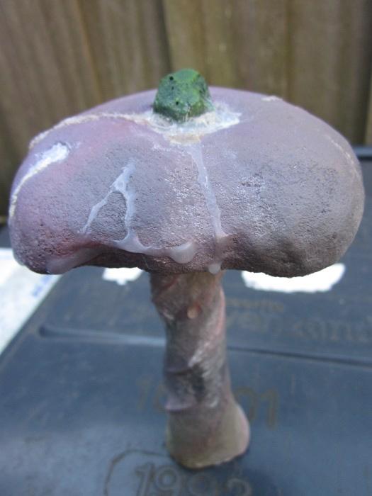 Mushroom, Terrain, Warpstone